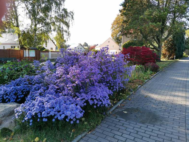 Schlosshotel Althörnitz : Radtouren und Radwege | komoot