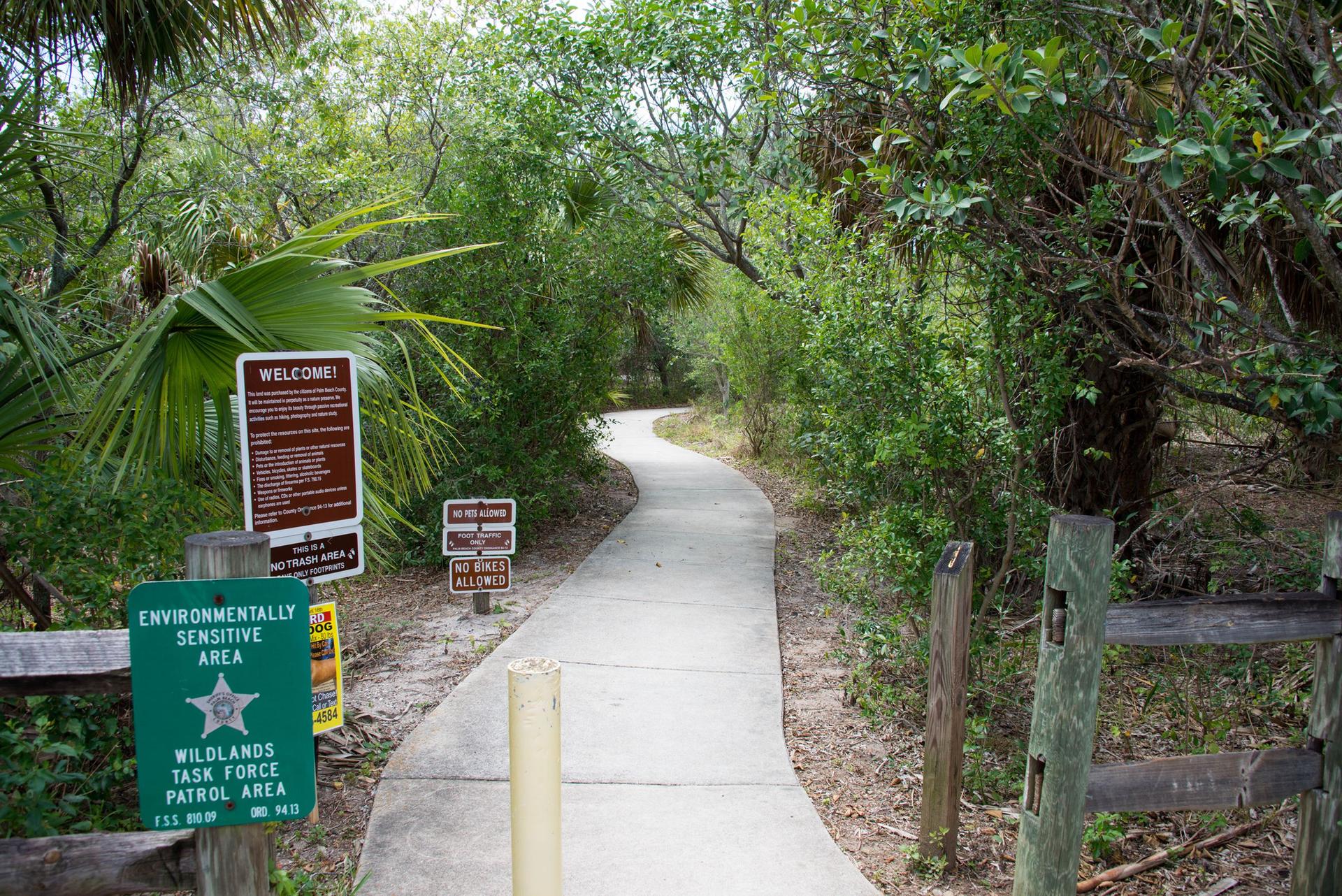 A winding paved path leads through dense green foliage under bright daylight.