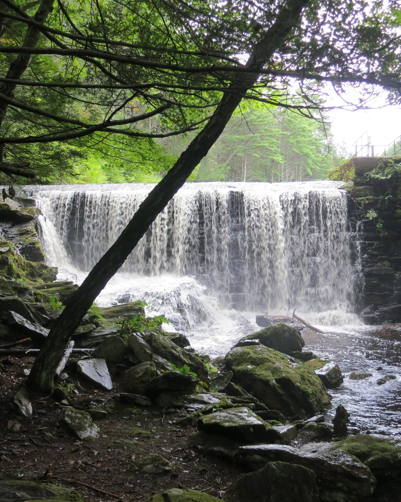 A wide waterfall cascades over rocks in a lush, green forest.
