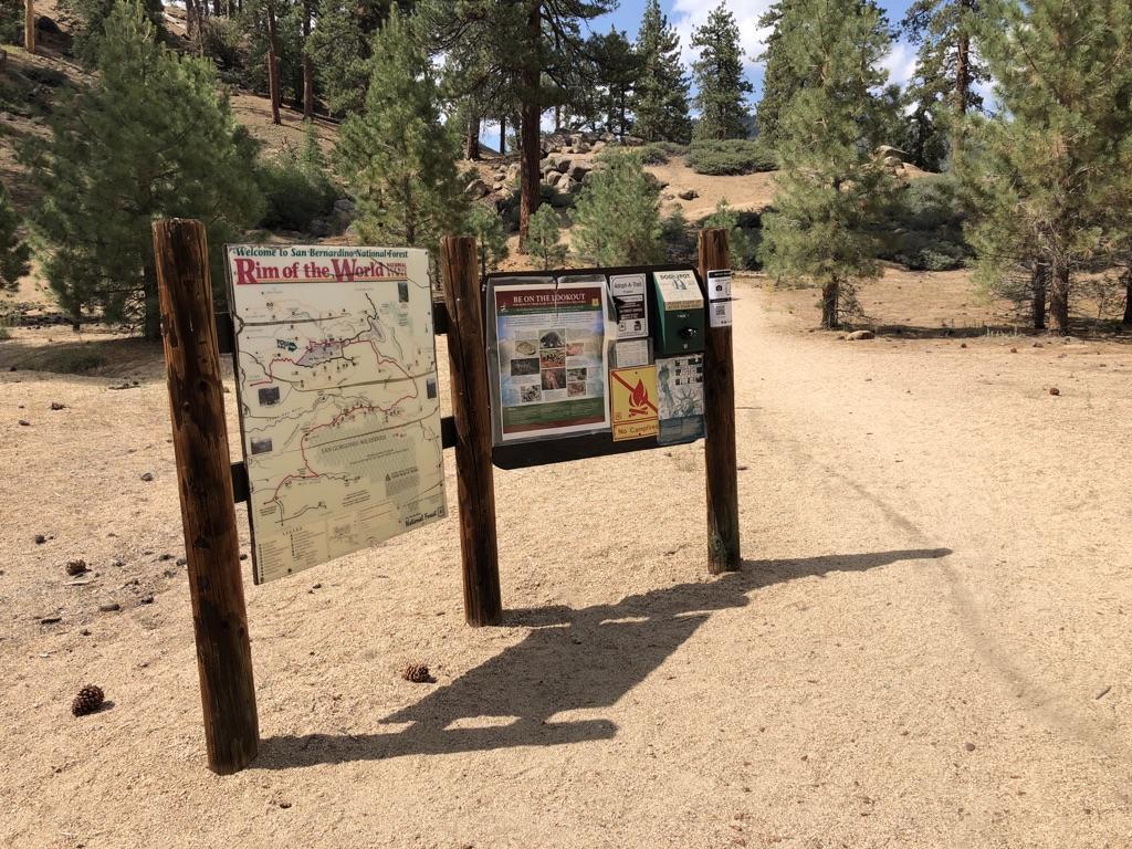Two wooden information signs on a sunny dirt path surrounded by pine trees.