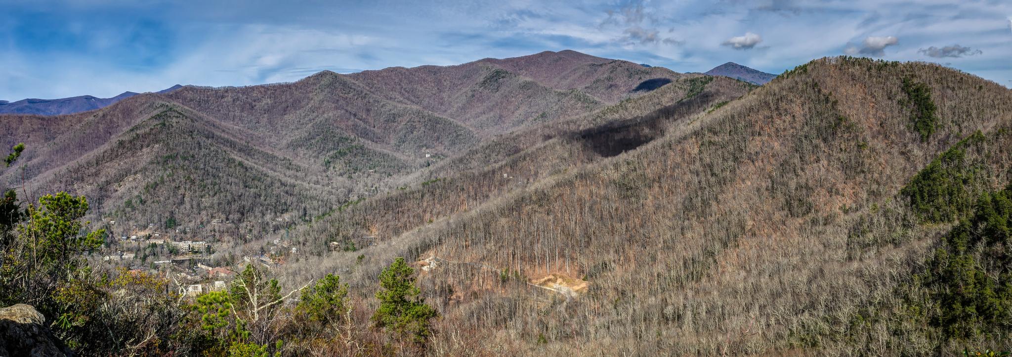 Panoramic view of a mountain range with mostly bare trees under a bright sky.