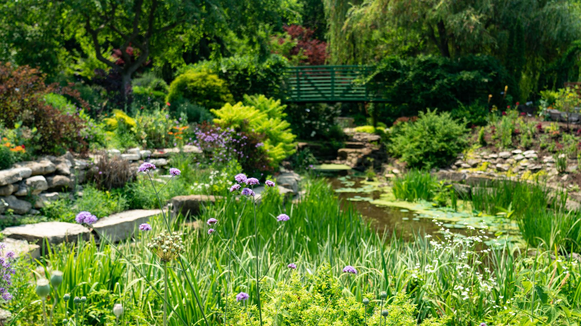 A vibrant garden with a pond, diverse plants, and a green bridge.