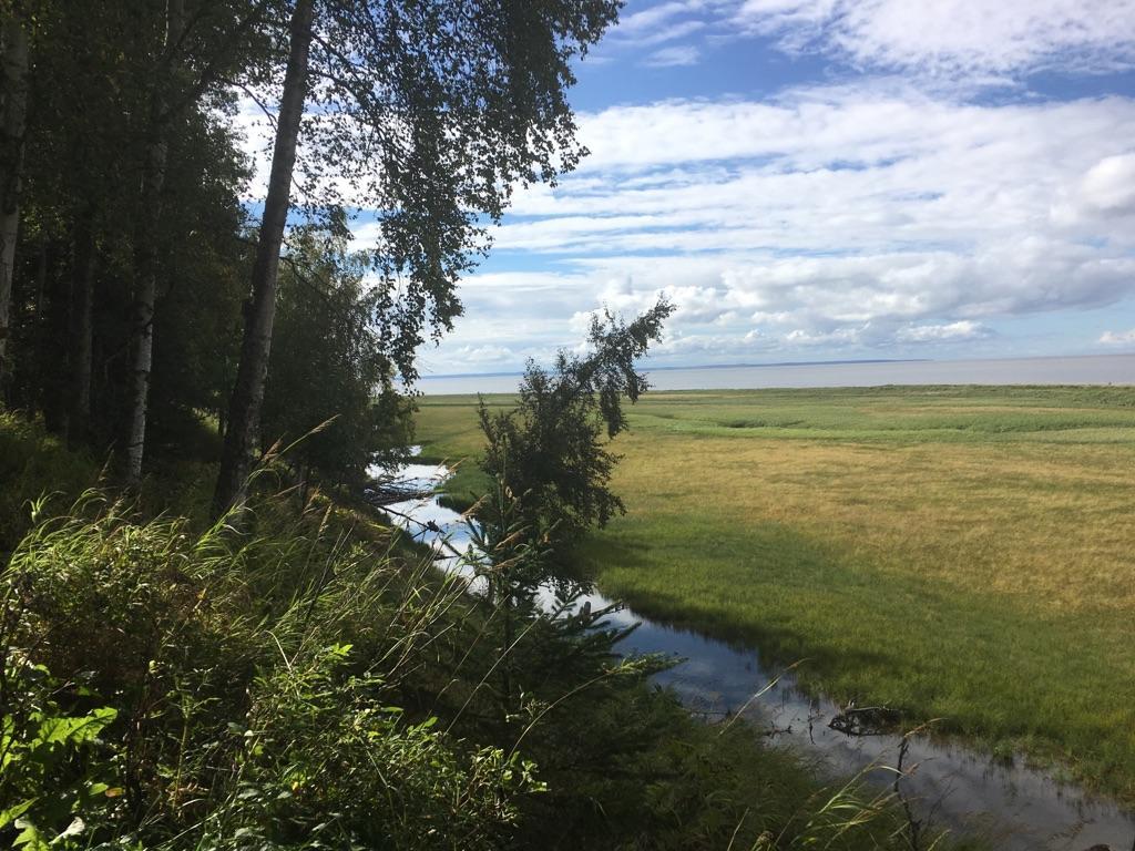 Stream flowing through a grassy field towards a large body of water under a cloudy sky.