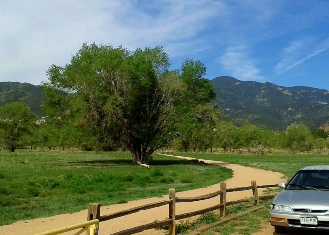 A winding dirt path, green field, trees, mountains, and a parked car under bright sky.