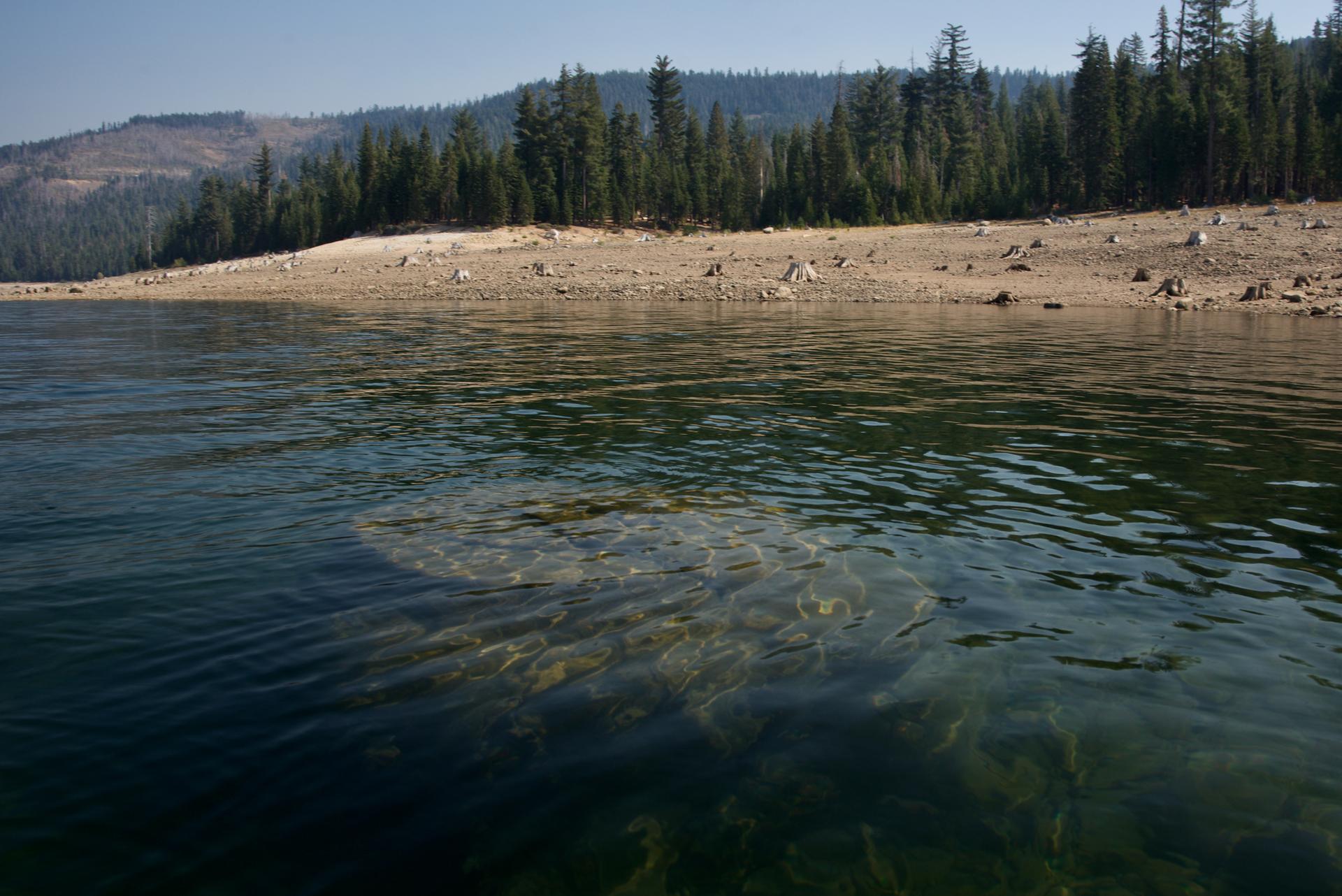 Clear lake water, barren shore with stumps, and forested hills on a sunny day.