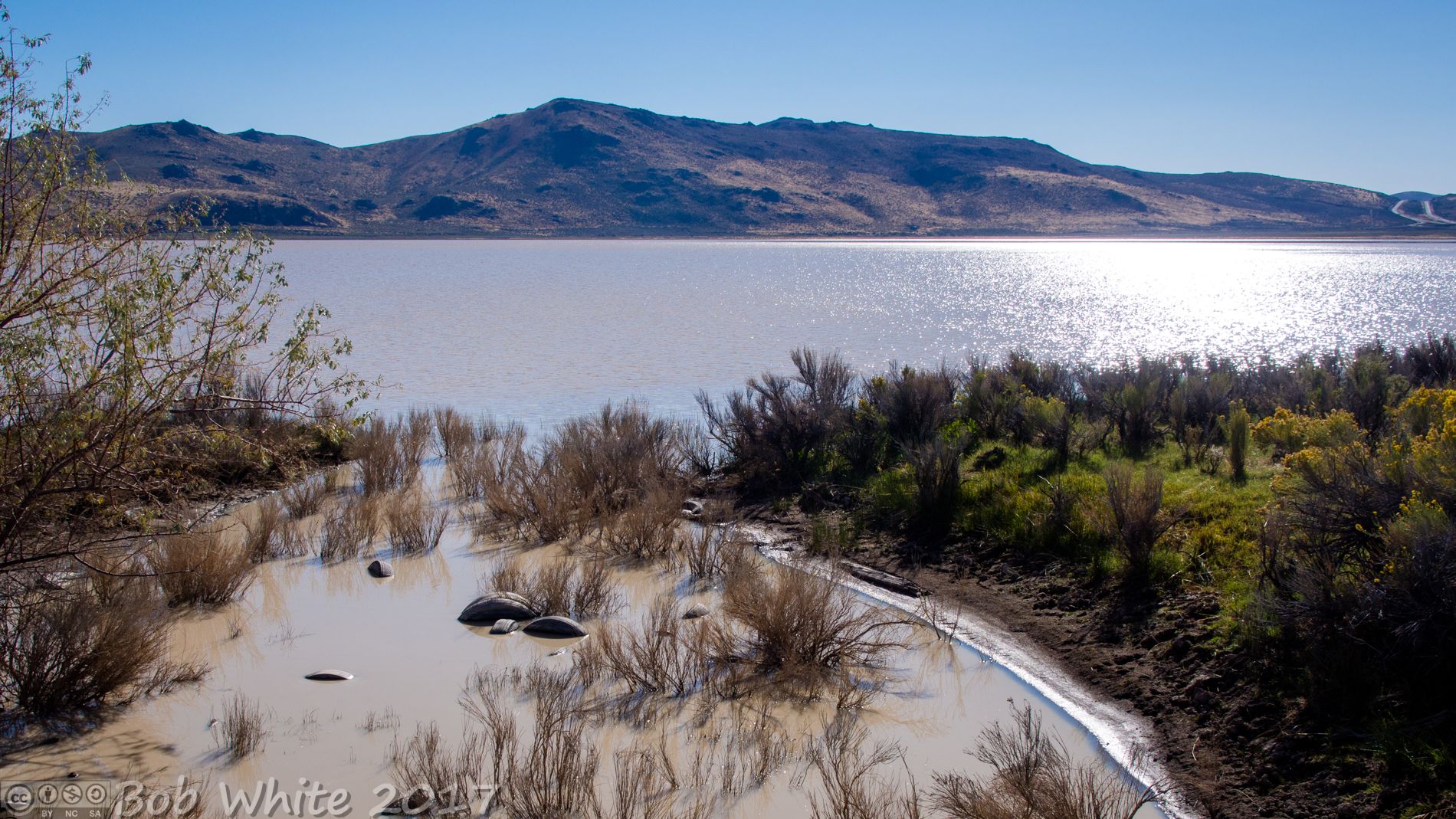 Sunny lake with sparkling water, marshy foreground, and distant mountains. - White Lake & Cold Spring Loop