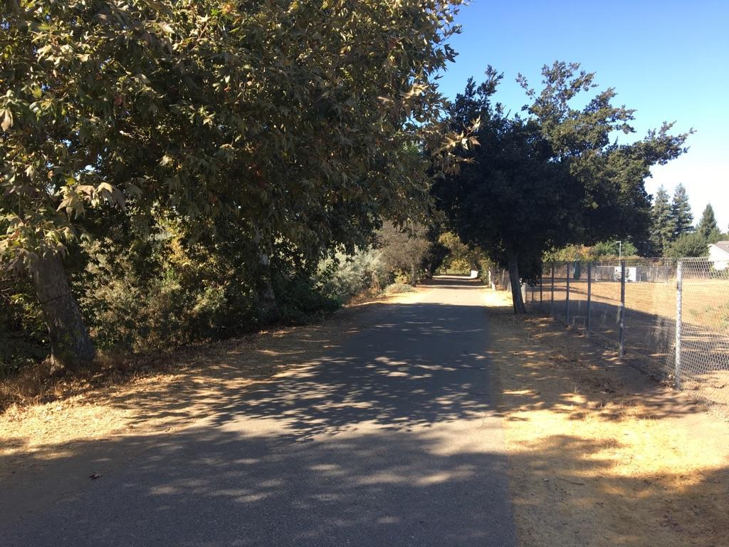 Shaded paved path bordered by trees and dry grass on a sunny day.
