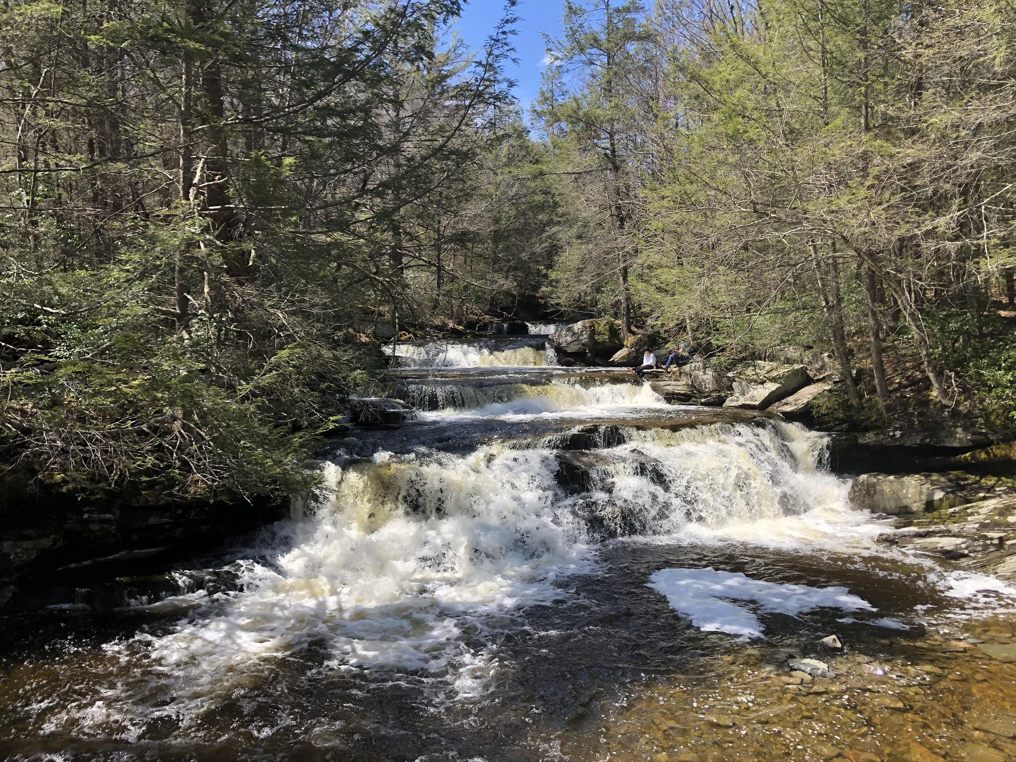 Cascading waterfalls flow through a sunlit forest with lush green trees and rocks.