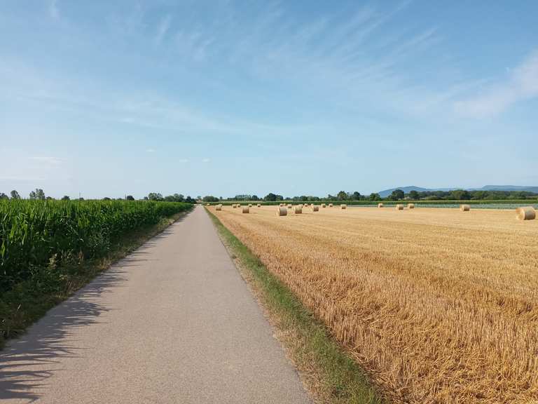 EuroVelo 15 Rota do Reno - rota circular a partir de Estrasburgo ...