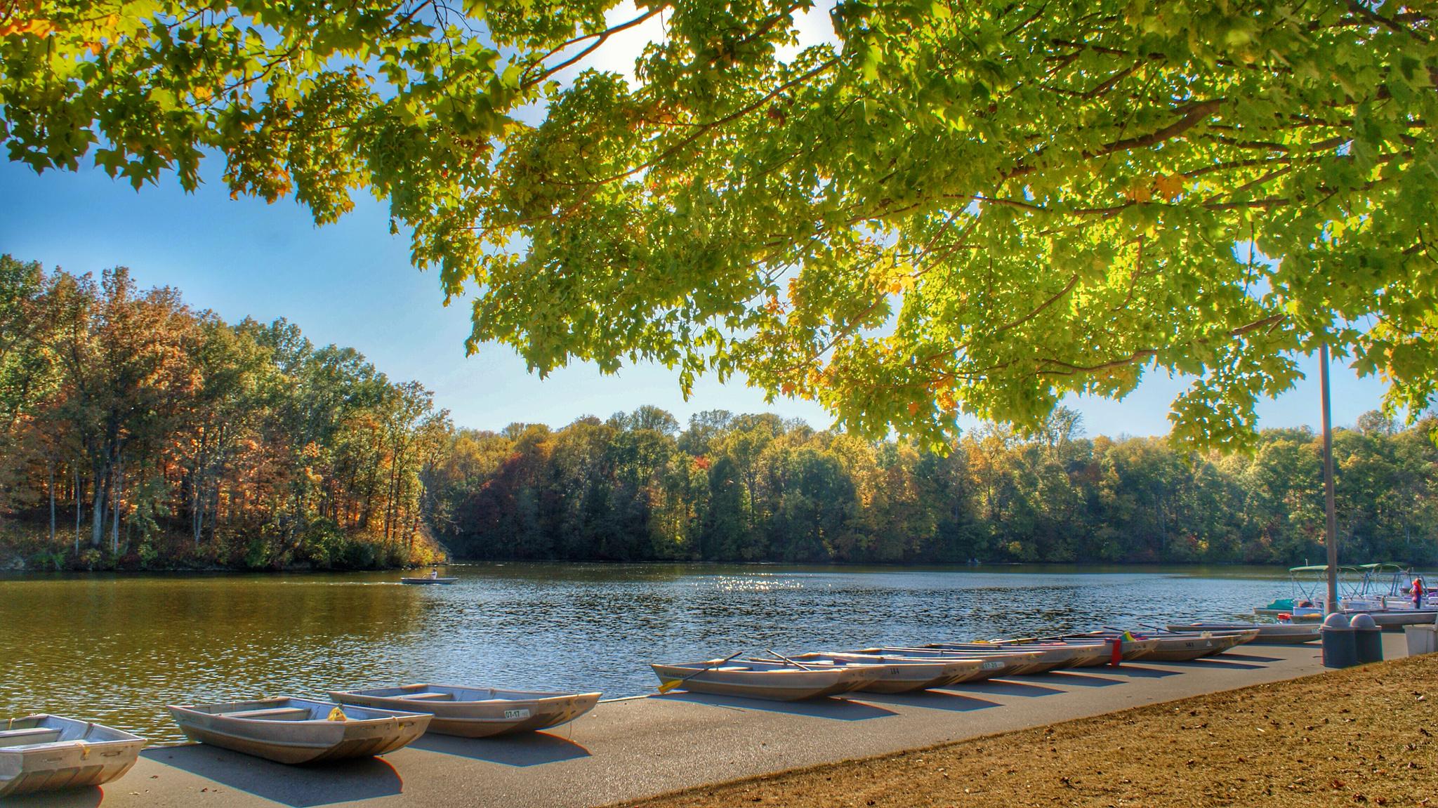 Boats lined on a sunny lake shore with vibrant autumn trees.