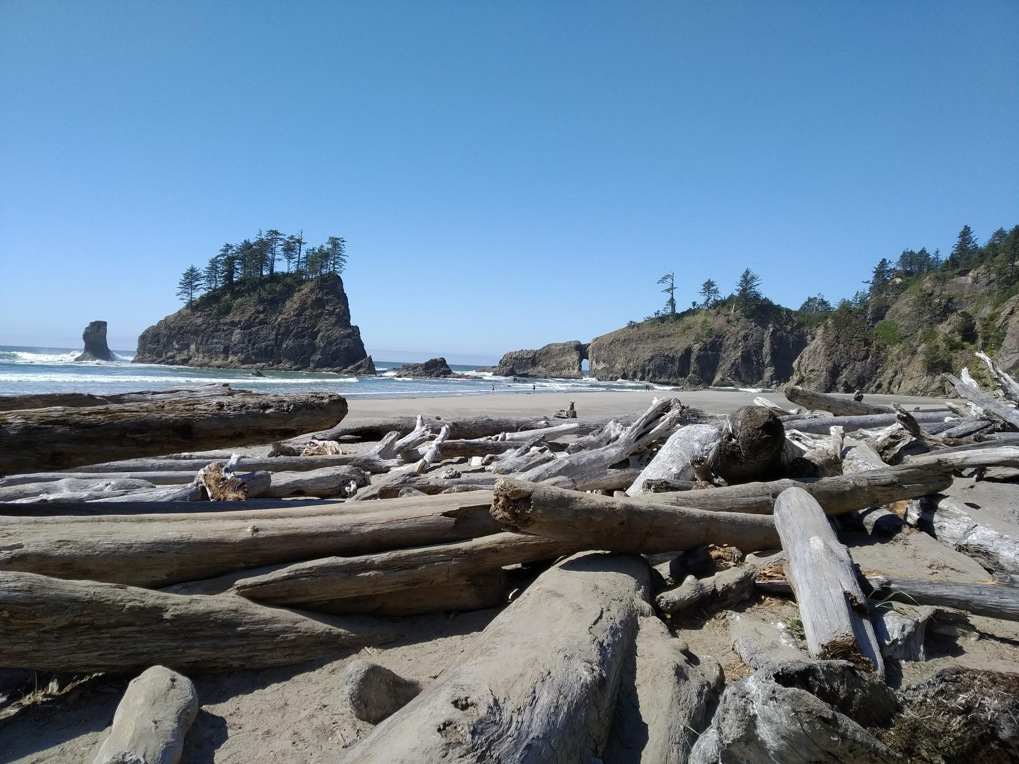 Wide sunny beach covered in driftwood, with large sea stacks offshore.