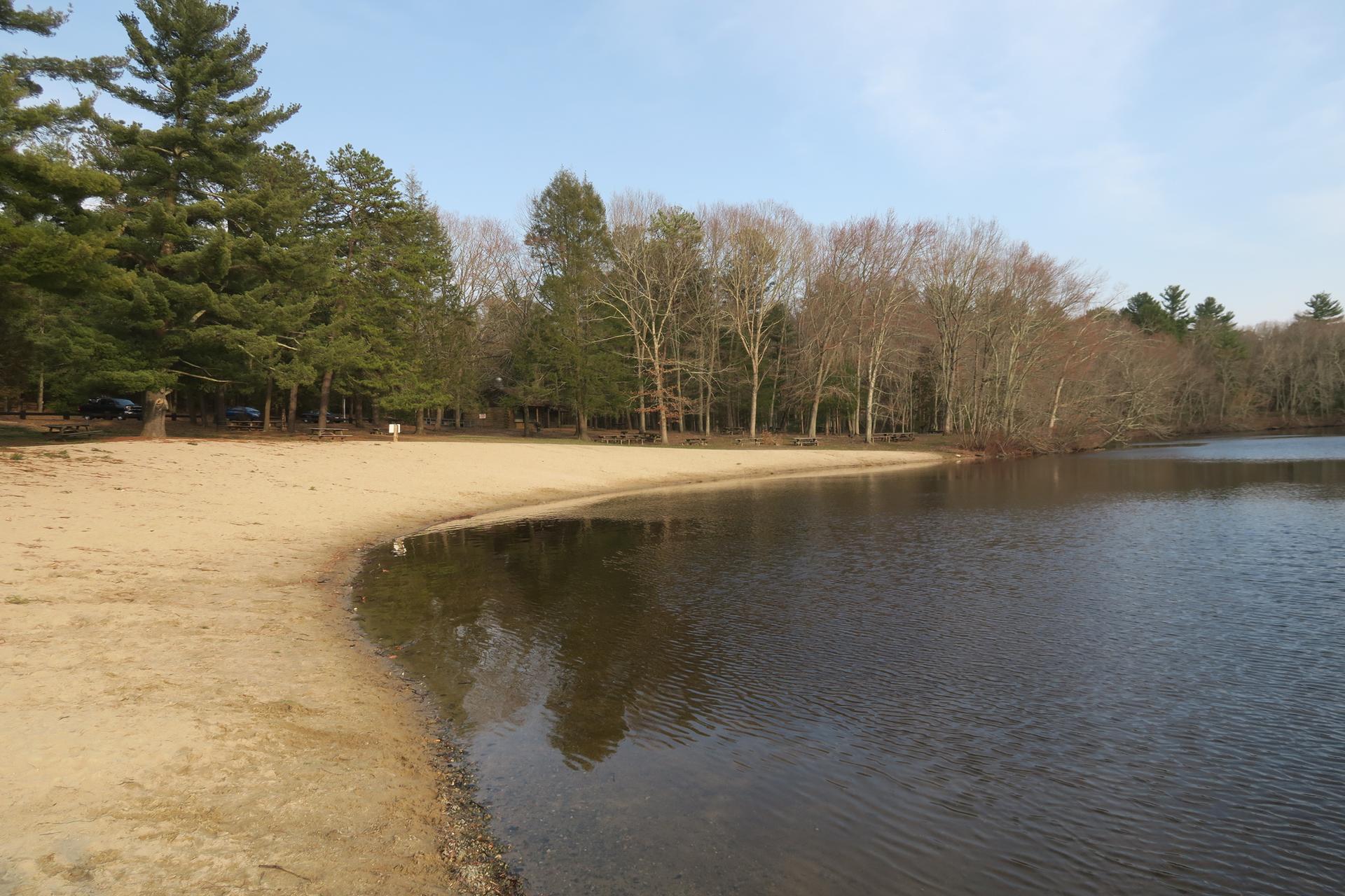 Bright sandy beach next to a dark lake, surrounded by trees.