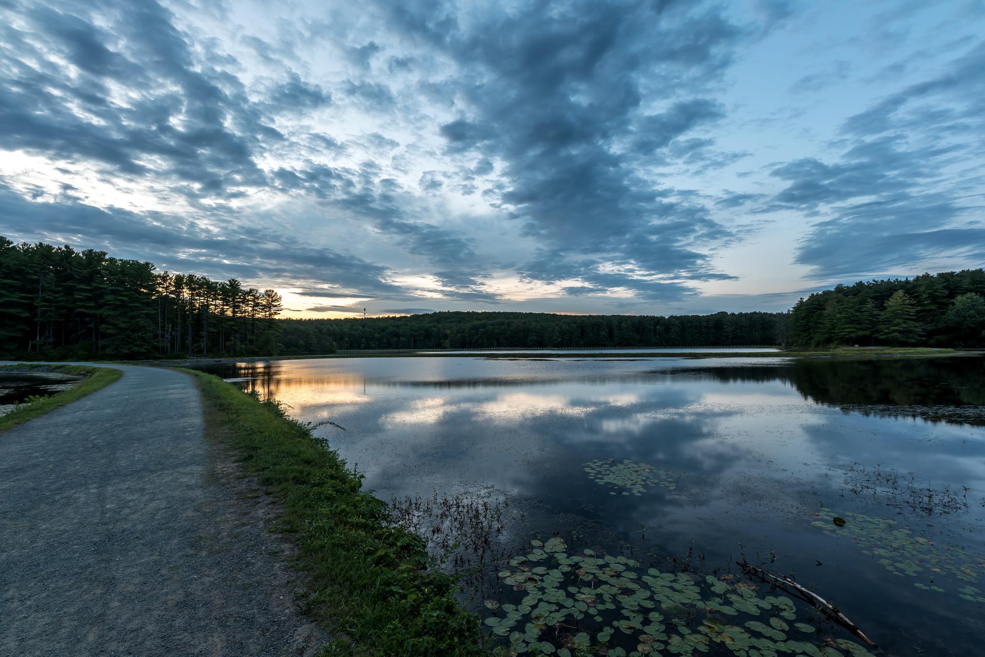 Path beside a lake with lily pads under a dramatic, cloudy evening sky.