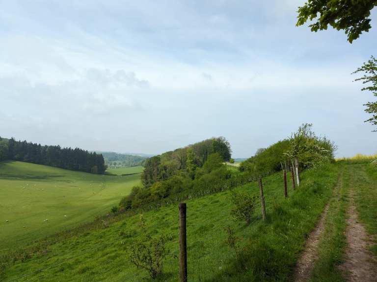 Fonthill Bishop & Fonthill Lake loop from Tisbury — Cranbourne Chase ...