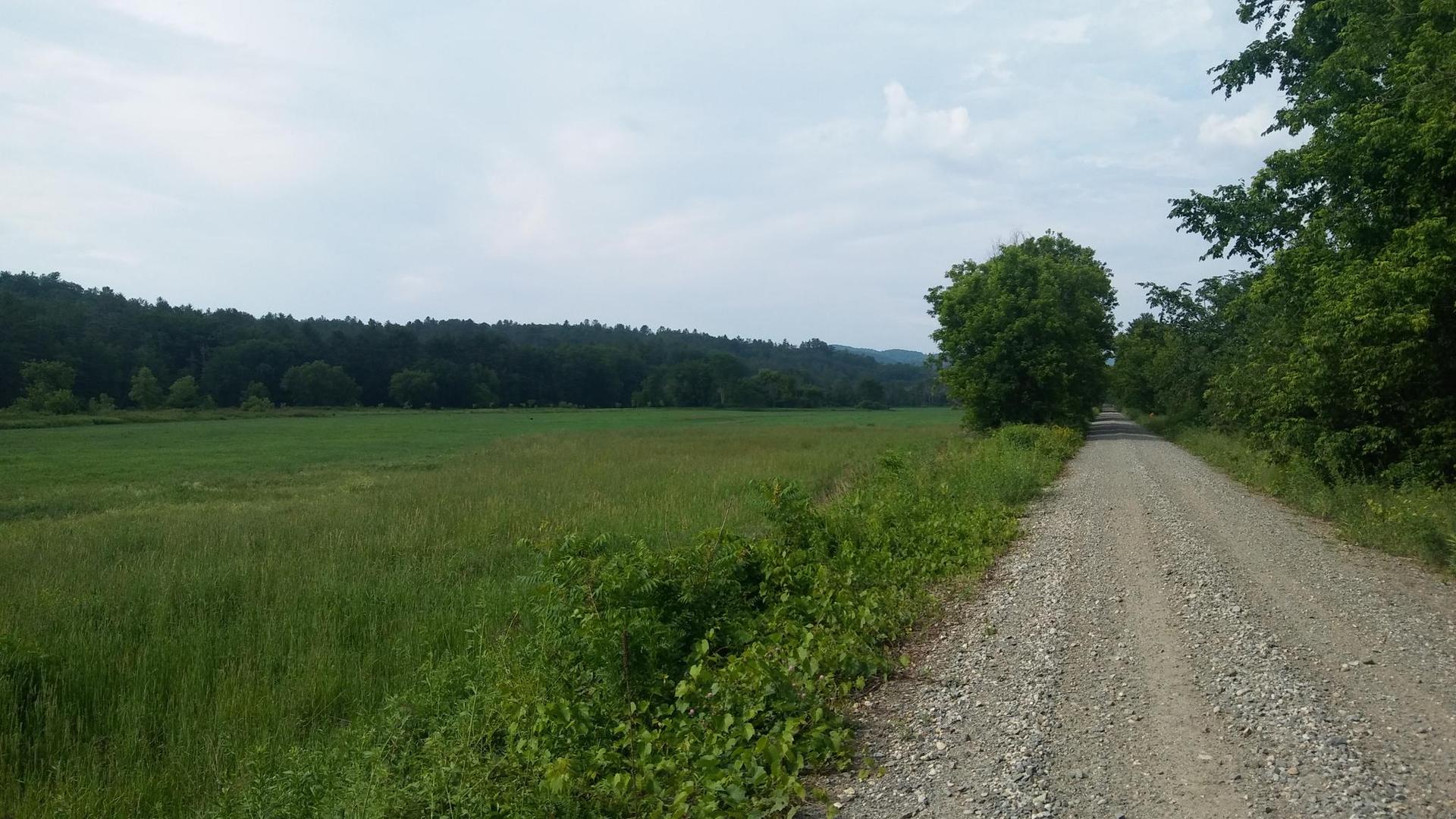 Gravel road next to a large green field and dense forest under cloudy sky.