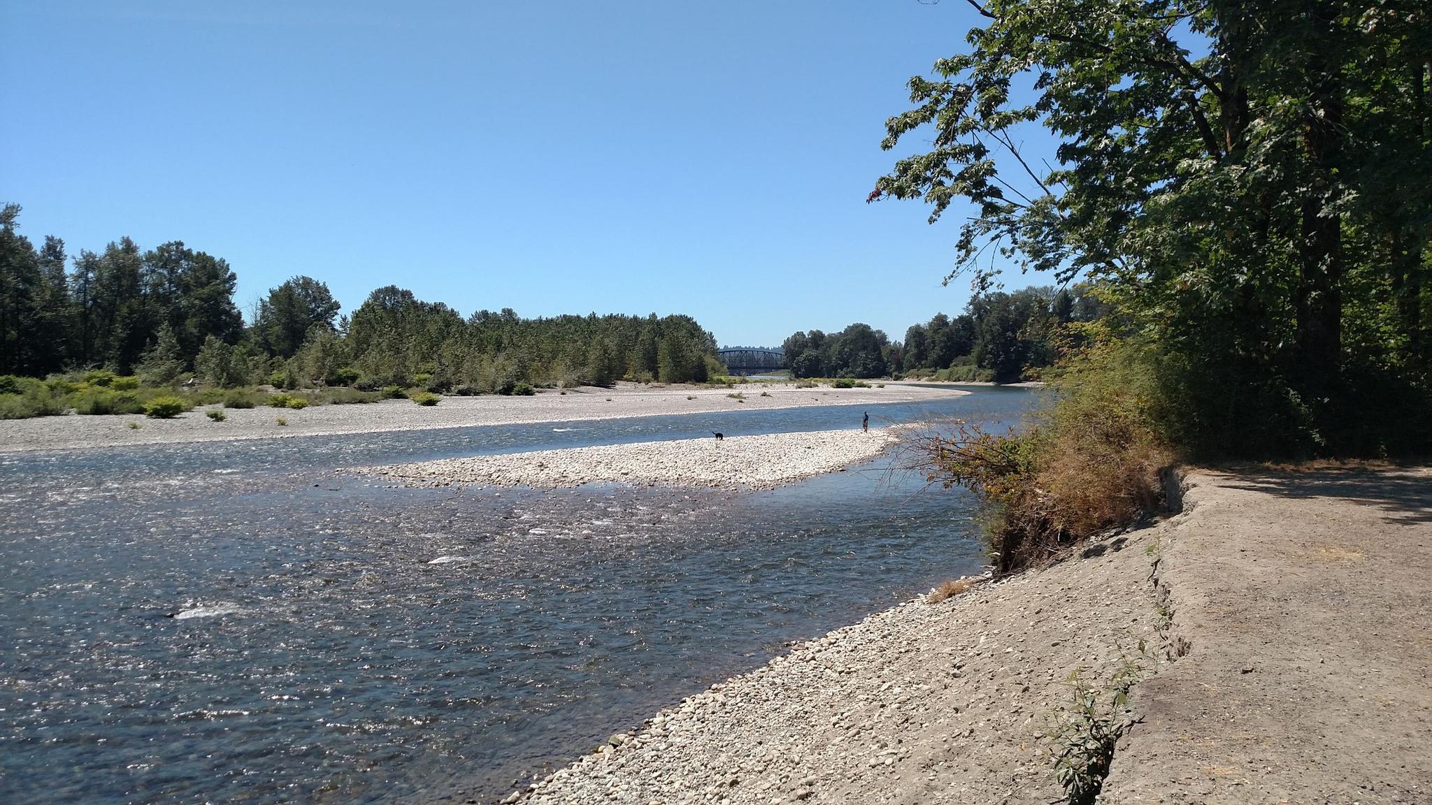 Wide, sunny river with gravel banks and distant trees, two people wading.