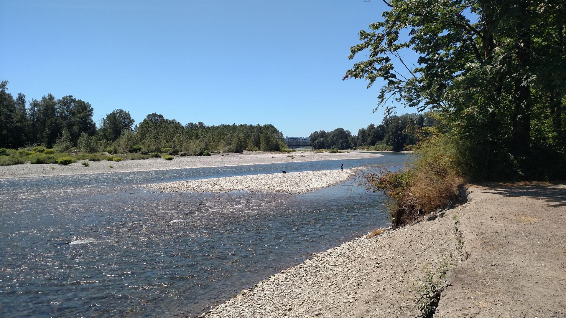 Wide, sunny river with gravel banks and distant trees, two people wading.