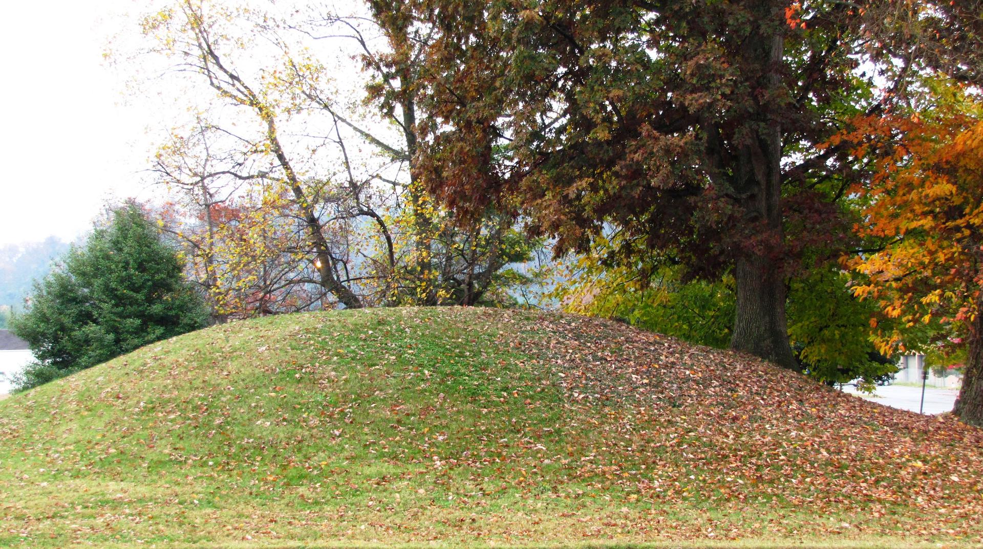 Grassy hill partially covered in autumn leaves, surrounded by trees.