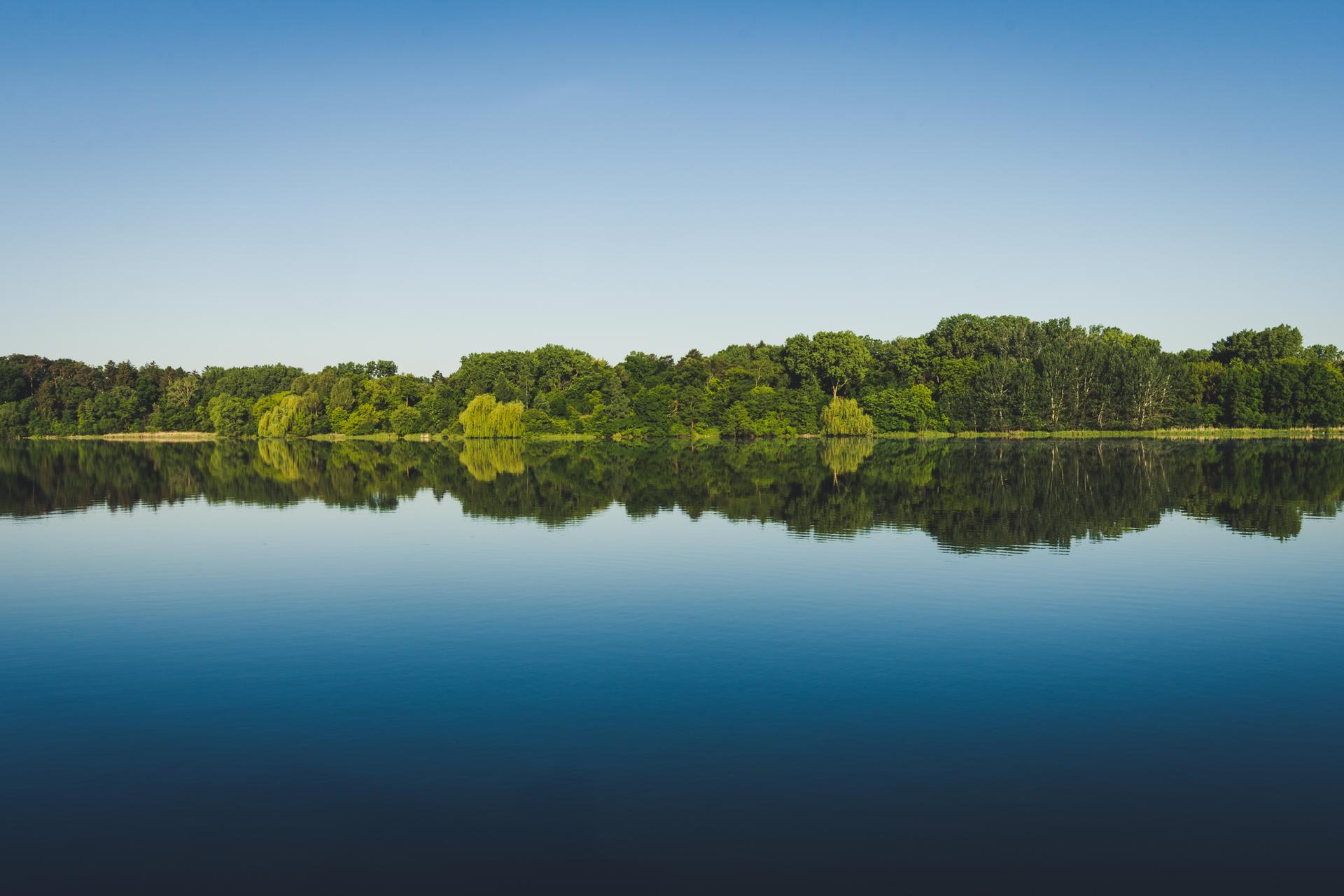 Calm lake perfectly reflects a distant green treeline under a clear blue sky.