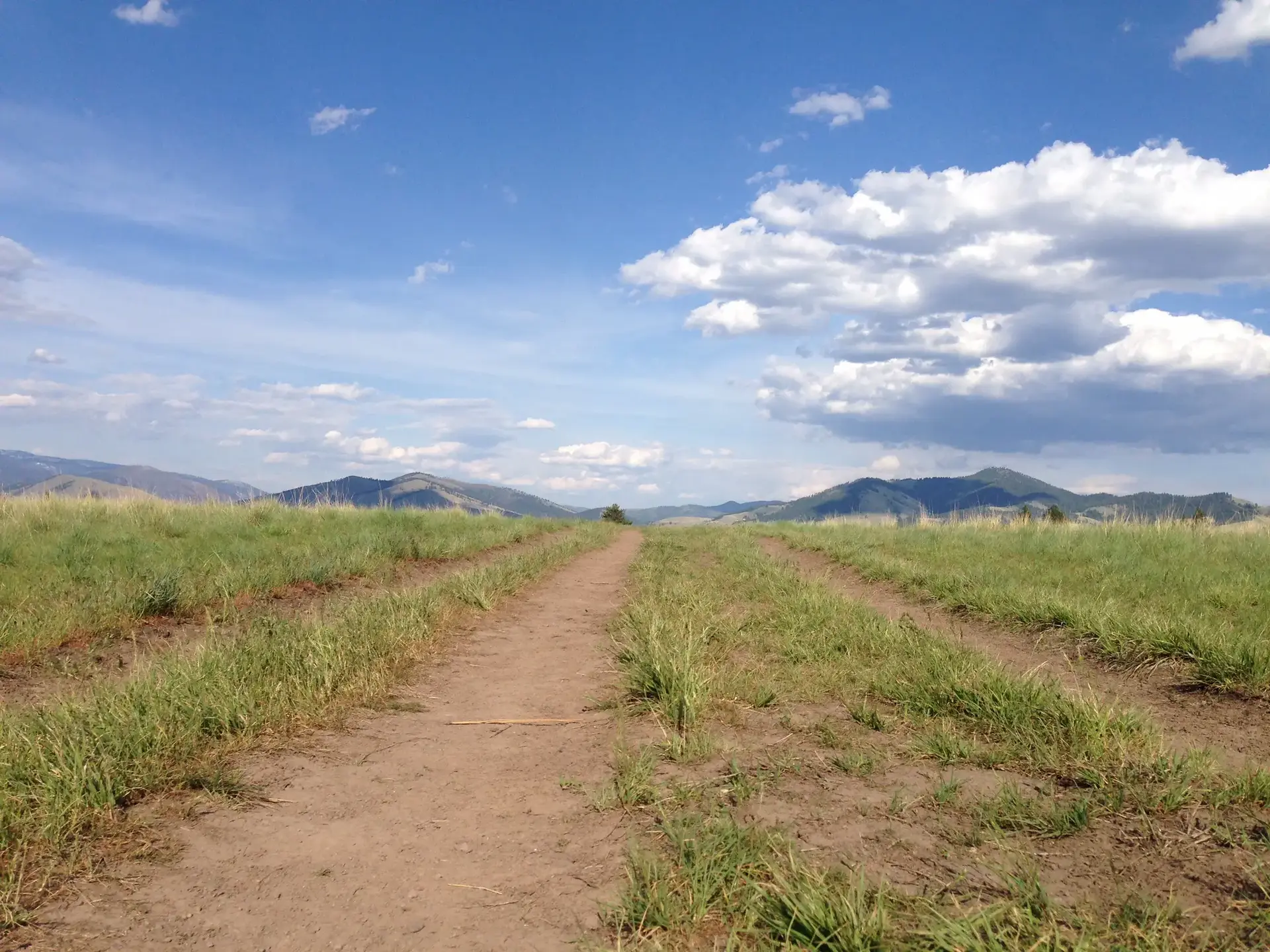 A narrow dirt path through green fields leading towards distant mountains under a cloudy sky.