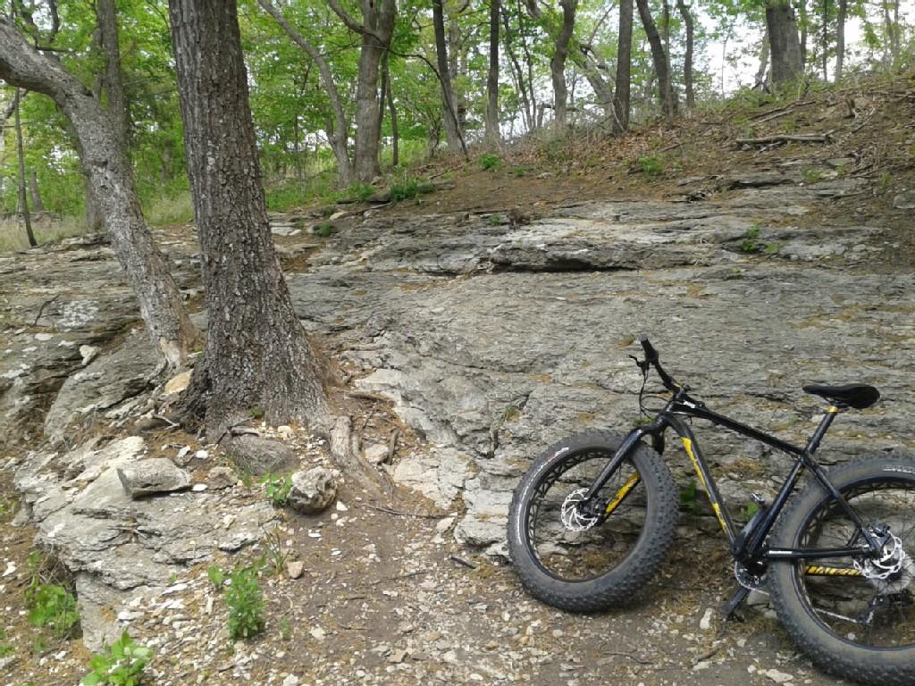 Fat-tire mountain bike parked on a rocky dirt path in a green forest.