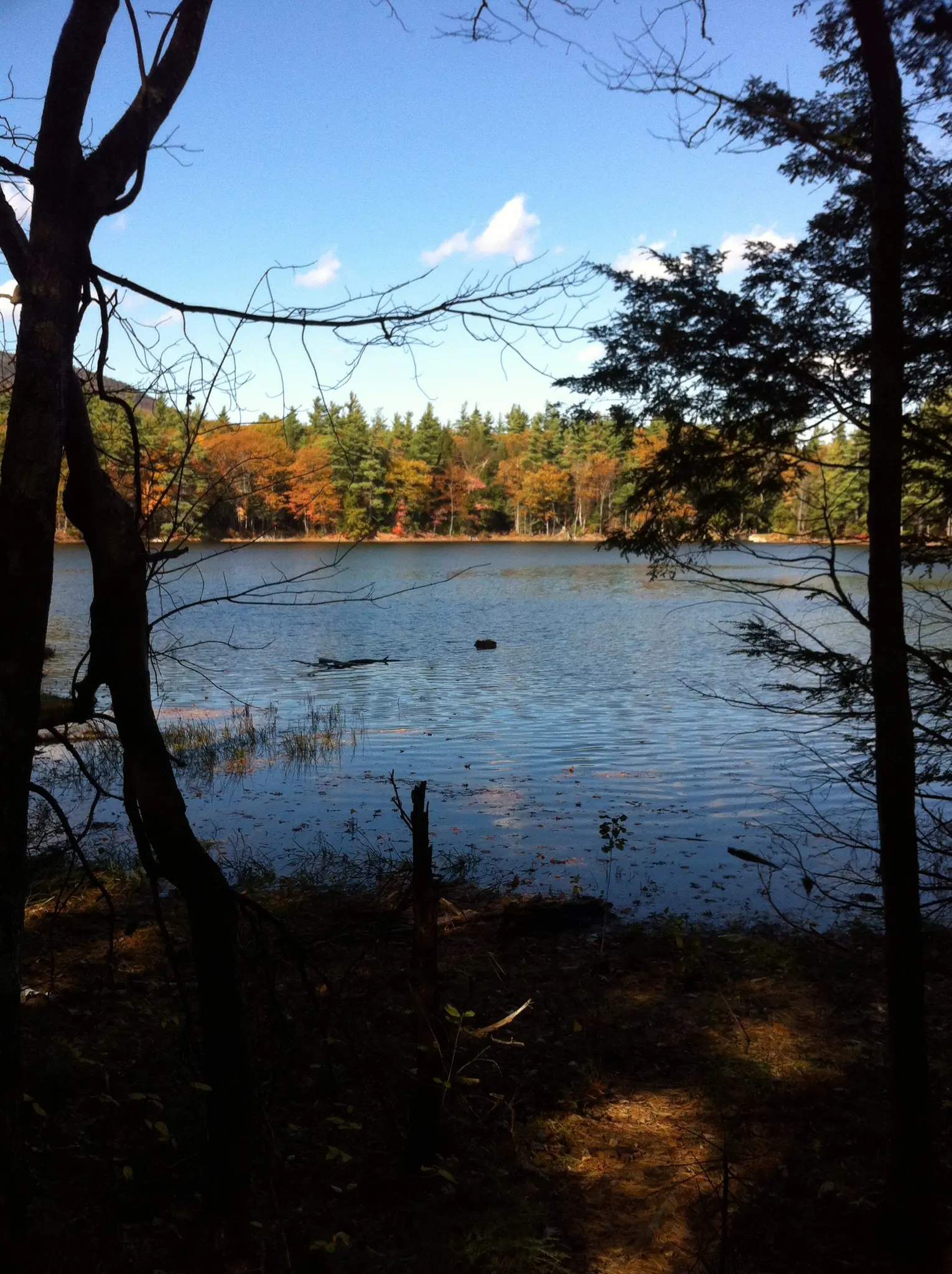 Bright daylight illuminates a lake framed by dark trees and colorful autumn foliage.