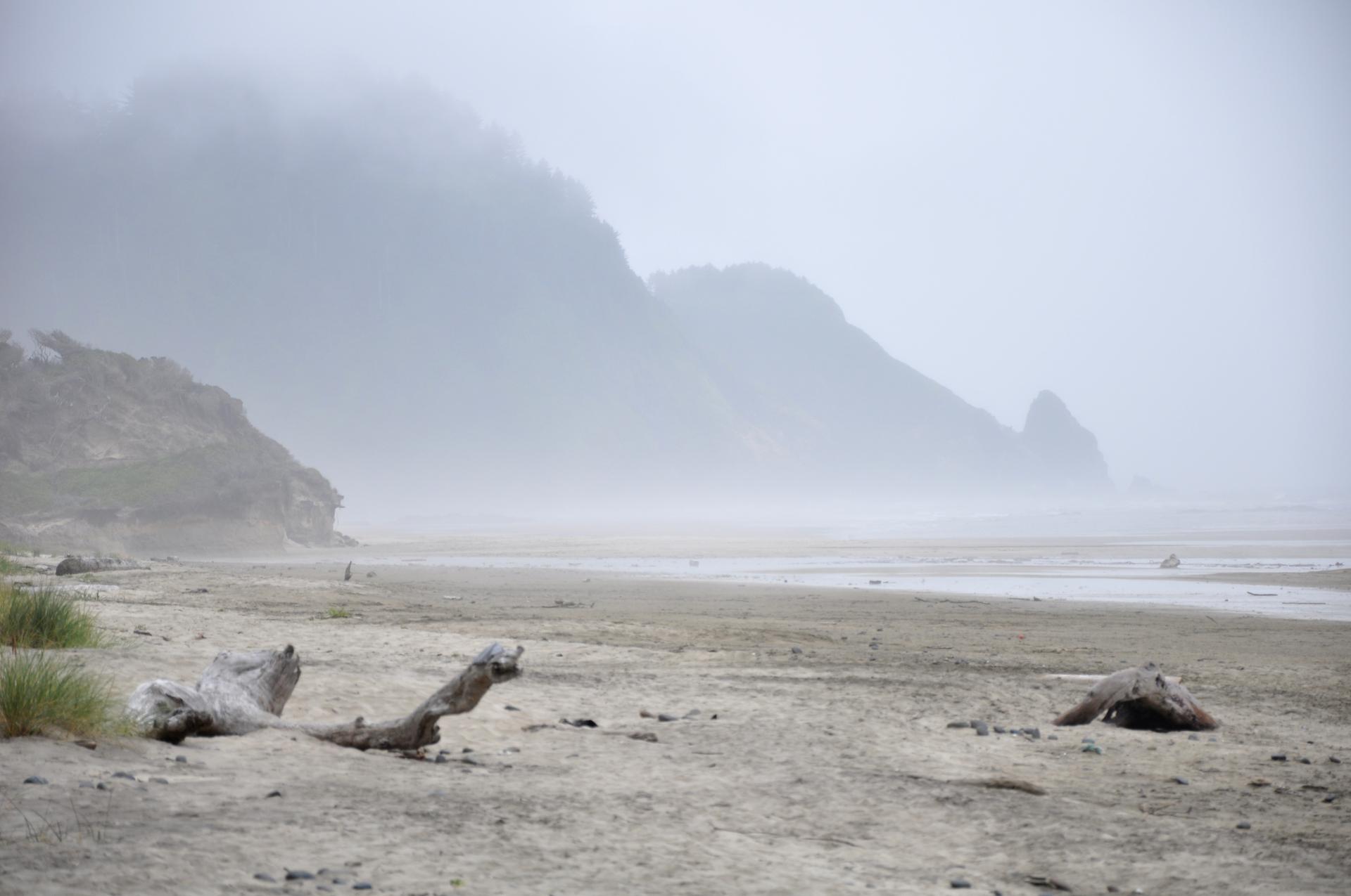 Misty, foggy beach with distant cliffs, ocean, and scattered driftwood.