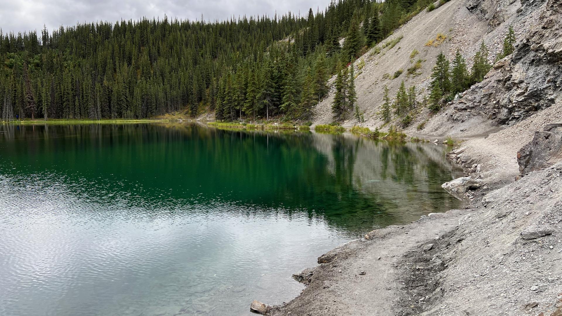 Emerald lake reflecting overcast sky, surrounded by dense forest and rocky slopes.