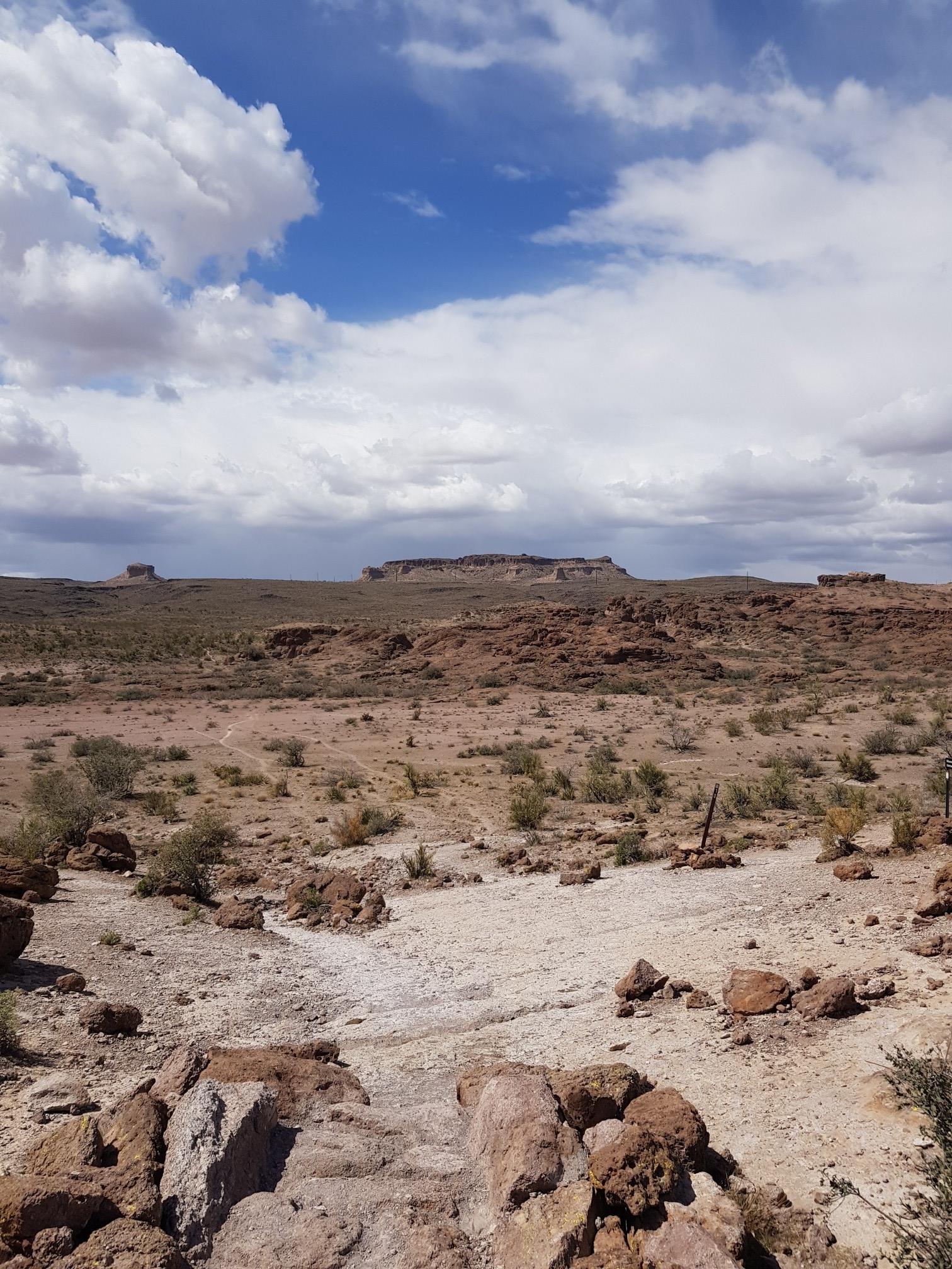 Vast desert landscape with distant mesas, sparse vegetation, under a cloudy sky.
