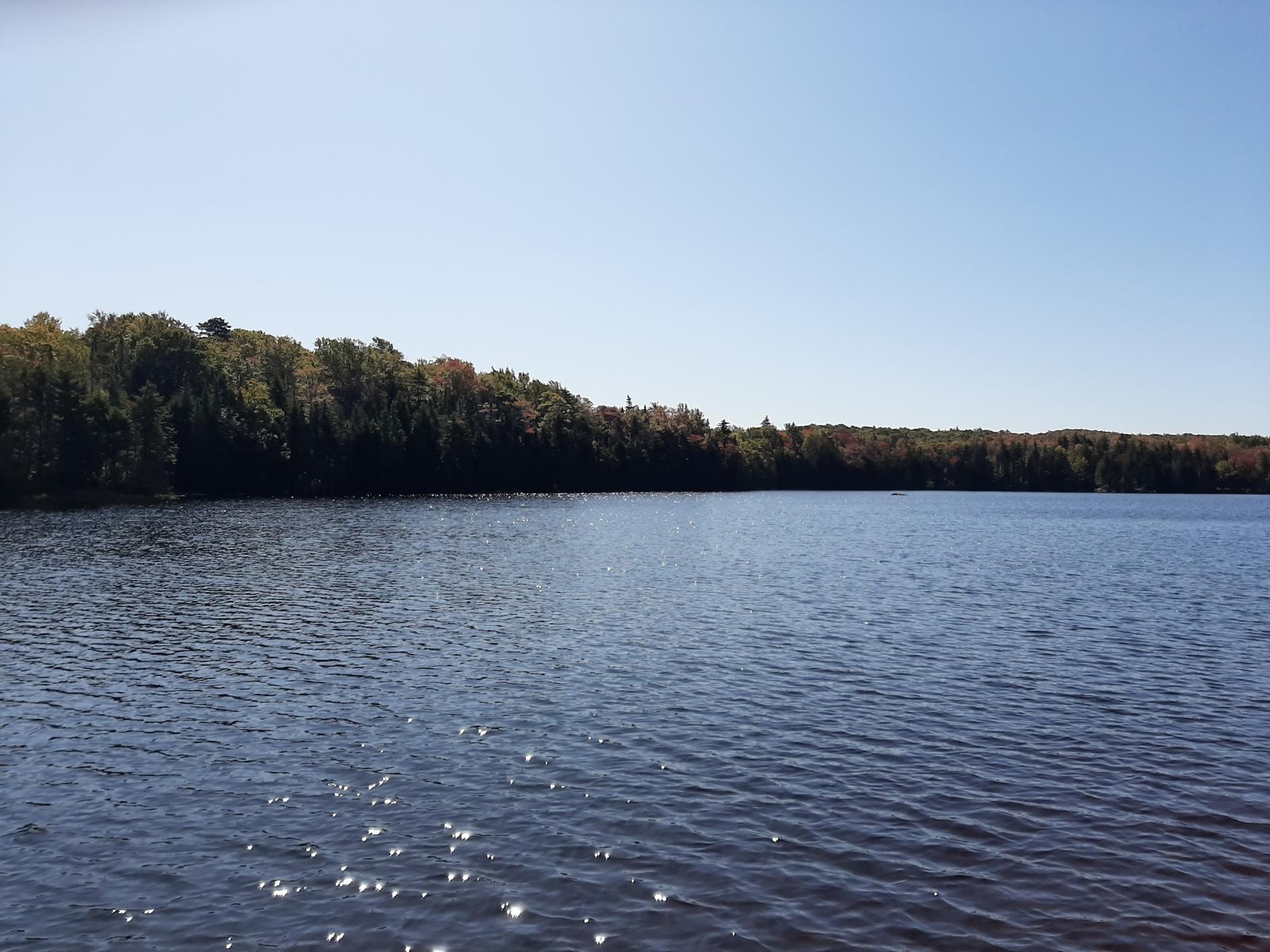 Wide view of a large, sparkling lake under a clear blue sky.