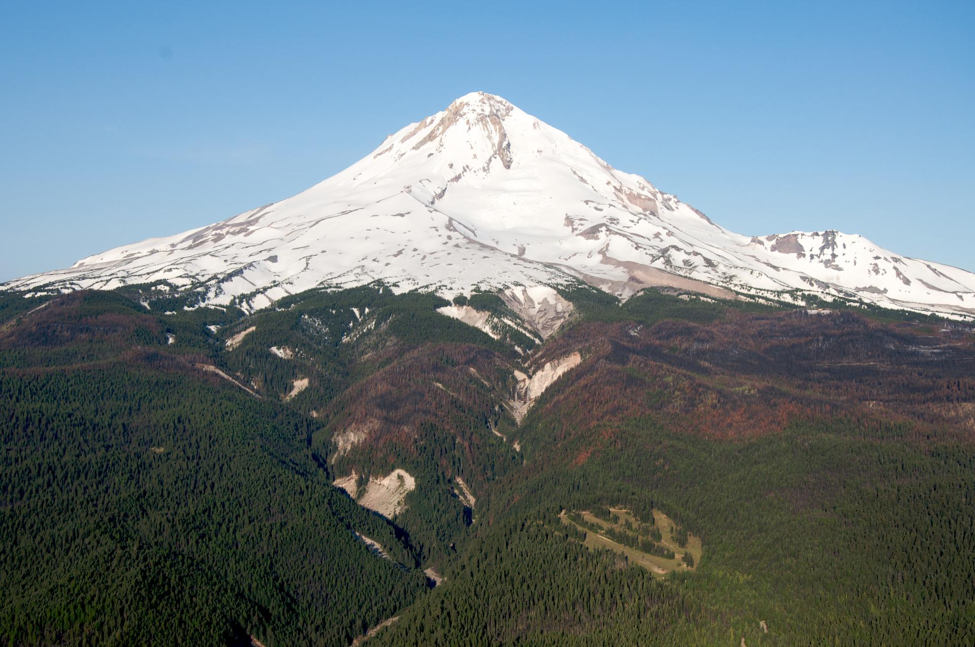 Majestic snow-capped mountain peak rising above forested slopes under clear sky.