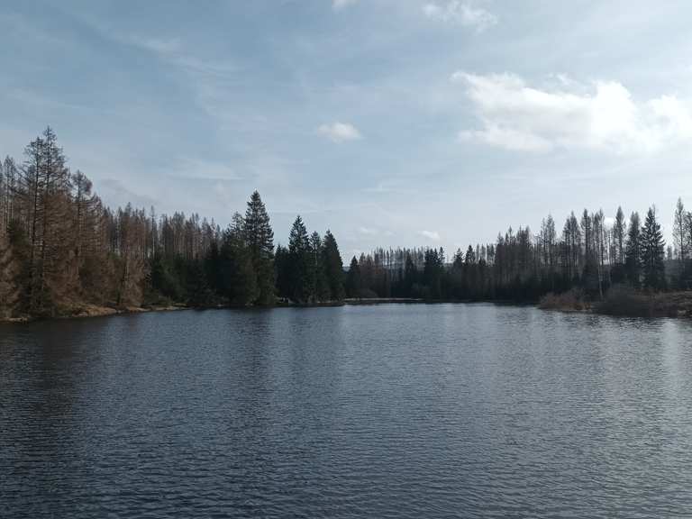 Ziegenberger Teich Bärenbrucher Teich (HWN 137) Rondje vanuit