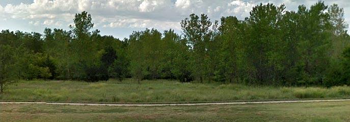 Lush green trees and a grassy field under a partly cloudy sky.