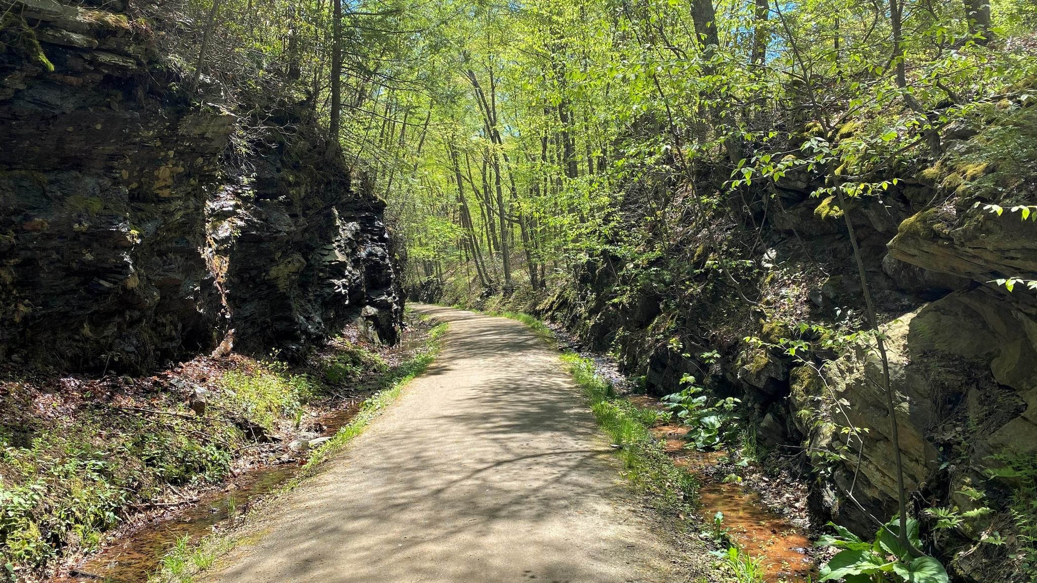 A narrow path cuts through rocky walls and lush green forest. - Charter Oak Greenway and Hop River Trail Loop