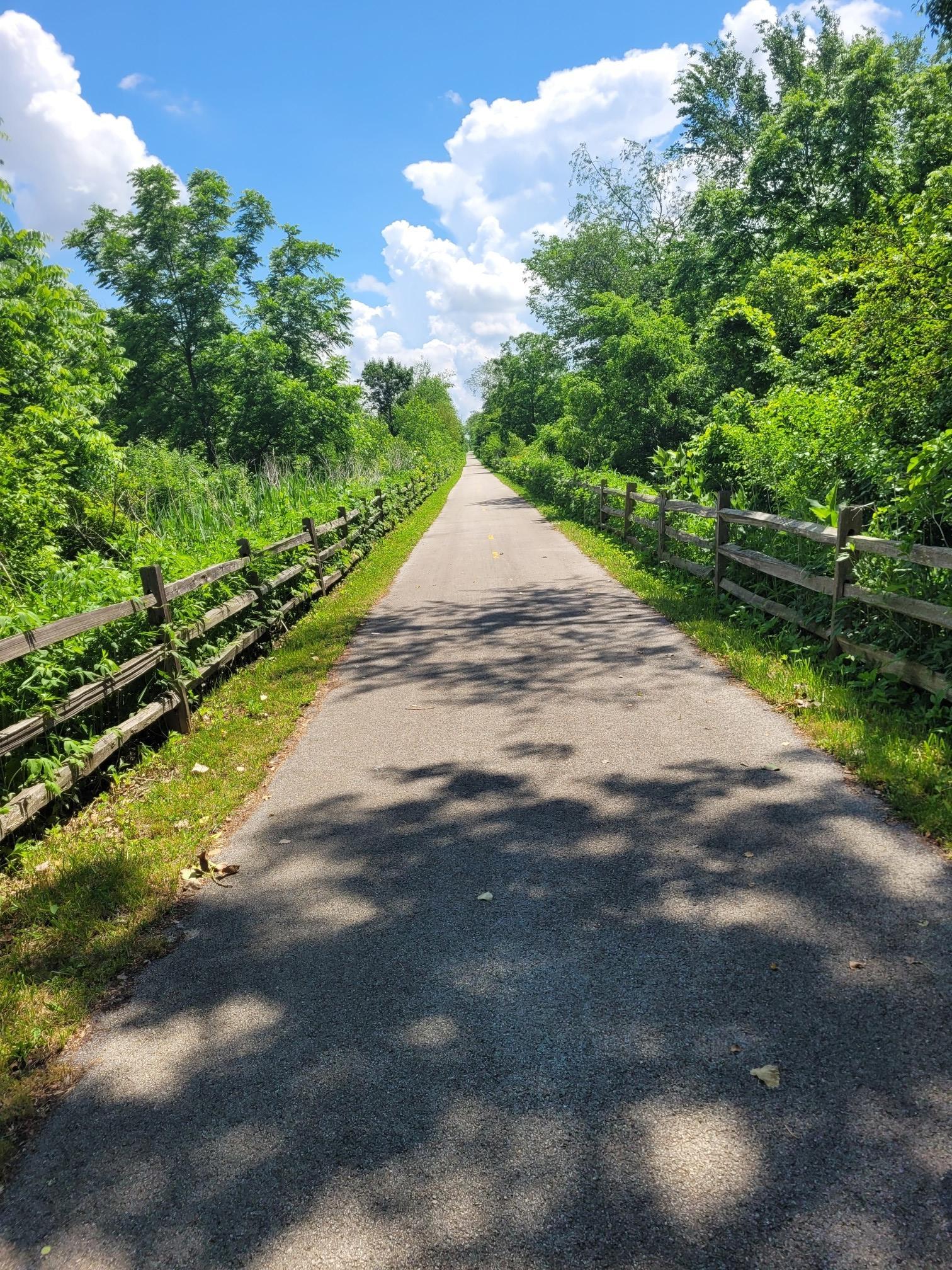 Paved path lined with wooden fences and green trees under a sunny sky.