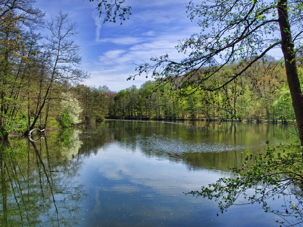 A calm lake reflecting blue sky and green trees on a bright day.