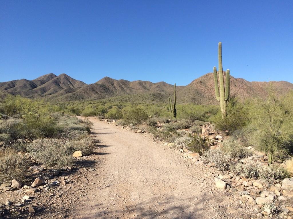 A sunny desert trail winds towards distant mountains and saguaro cacti.