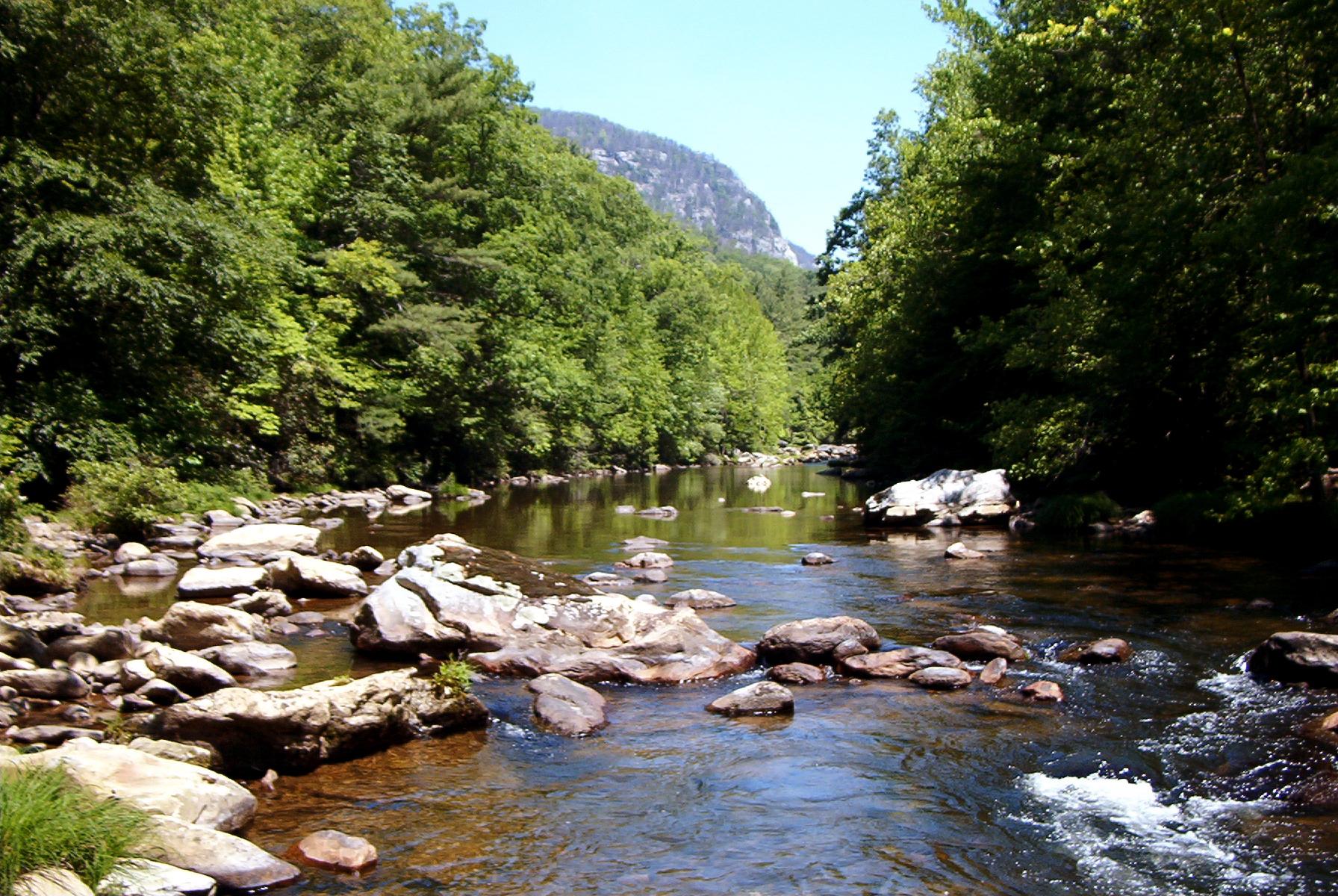 Clear river flowing over rocks, surrounded by lush green mountains on a sunny day.