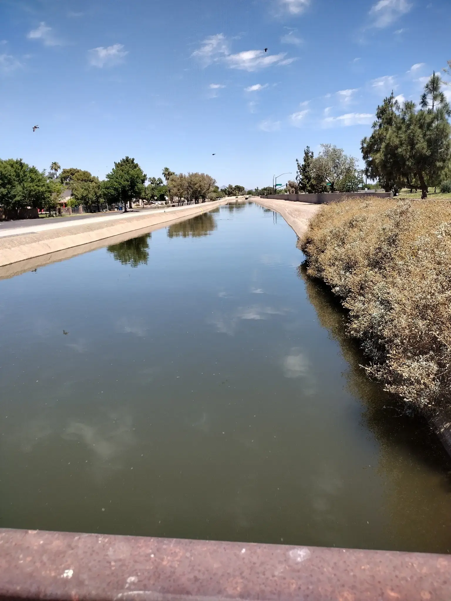 A calm canal with green banks under a bright blue sky.