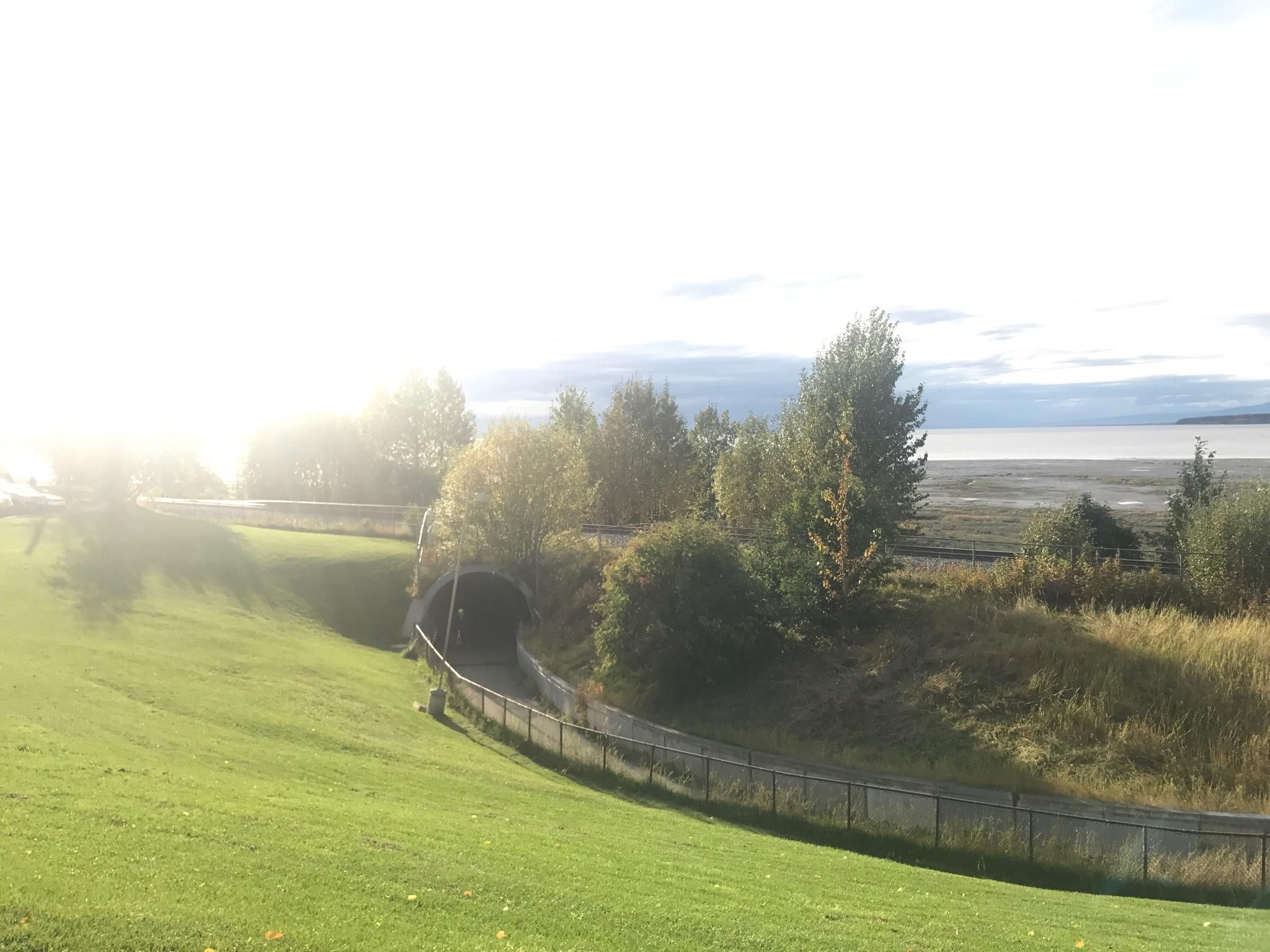 Bright sun over a grassy slope, tunnel entrance, and distant water. - Tony Knowles Coastal Trail