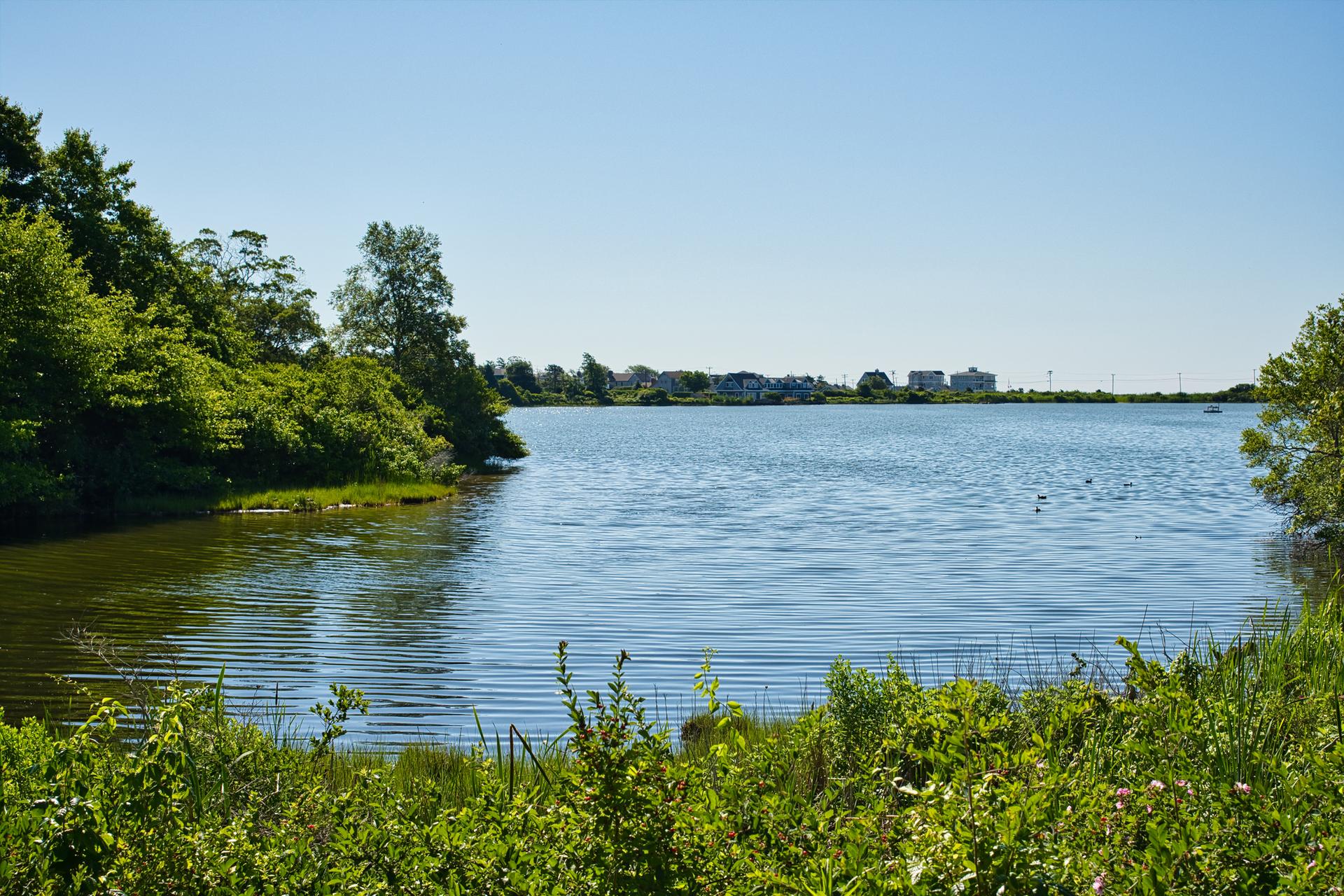 Sunny day over a calm lake surrounded by green trees and distant buildings.