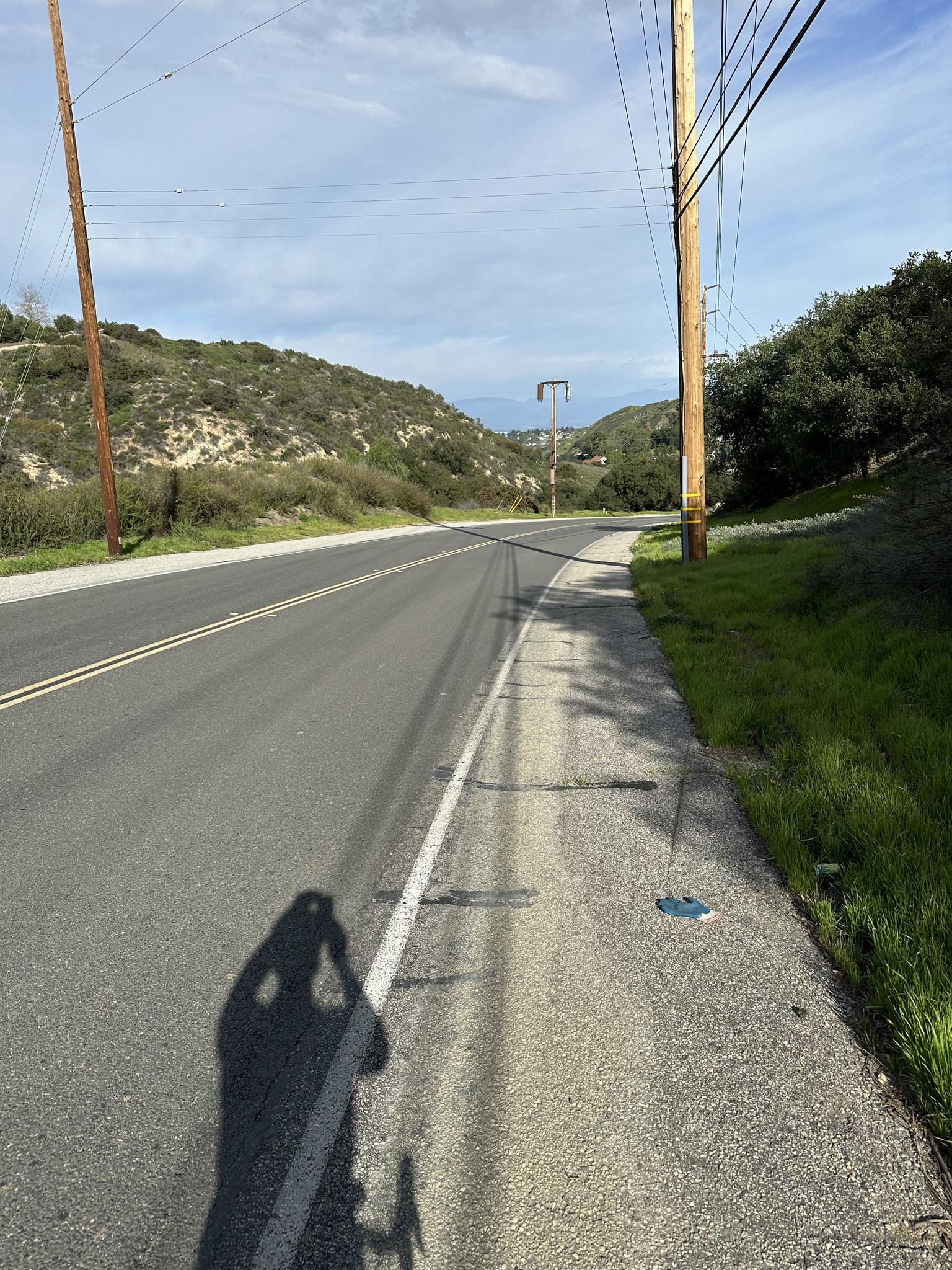 Road and sidewalk with power poles, a person's shadow on a sunny day.