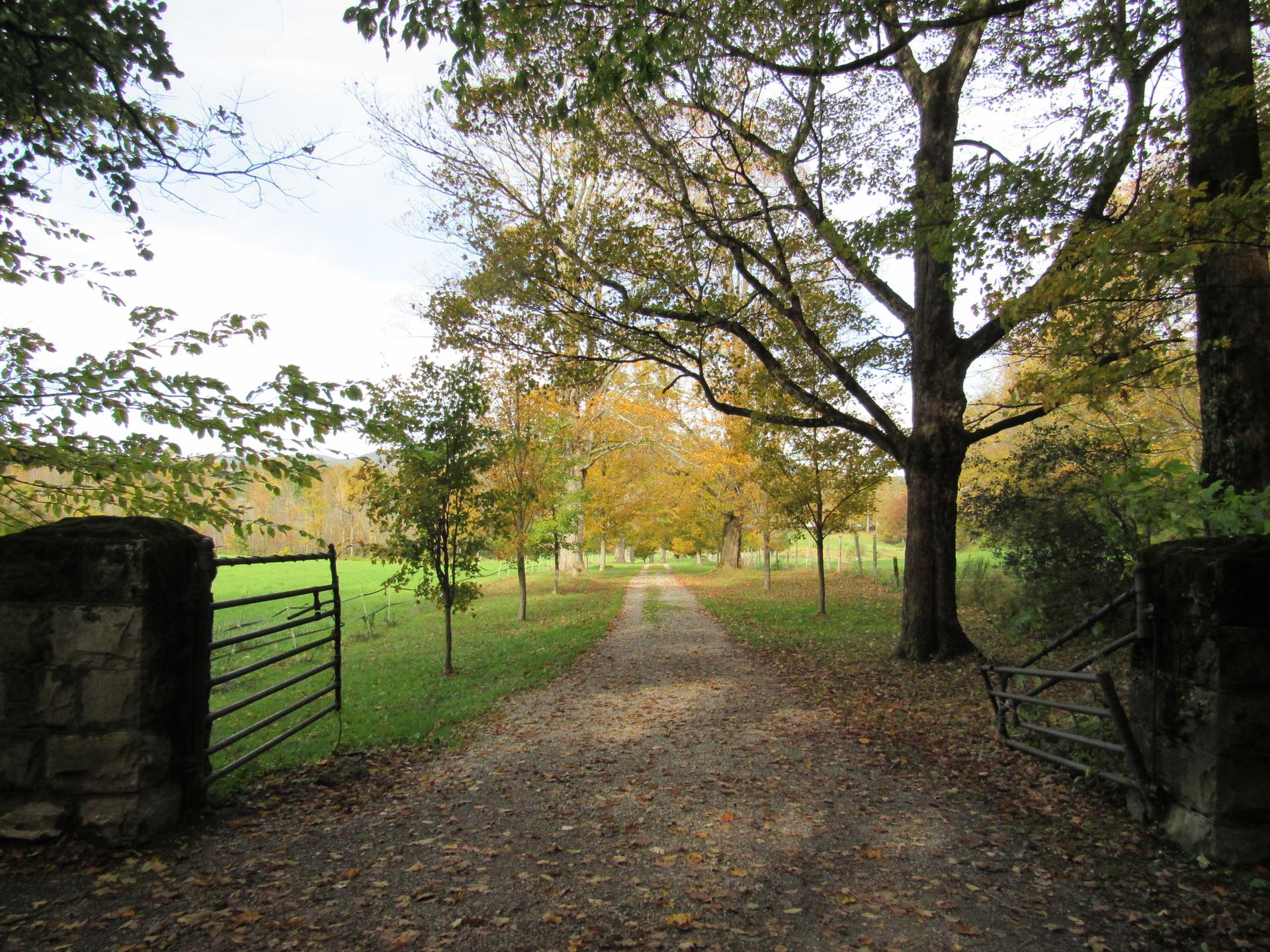Dirt road between stone gateposts, autumn trees, and green fields under diffused light.