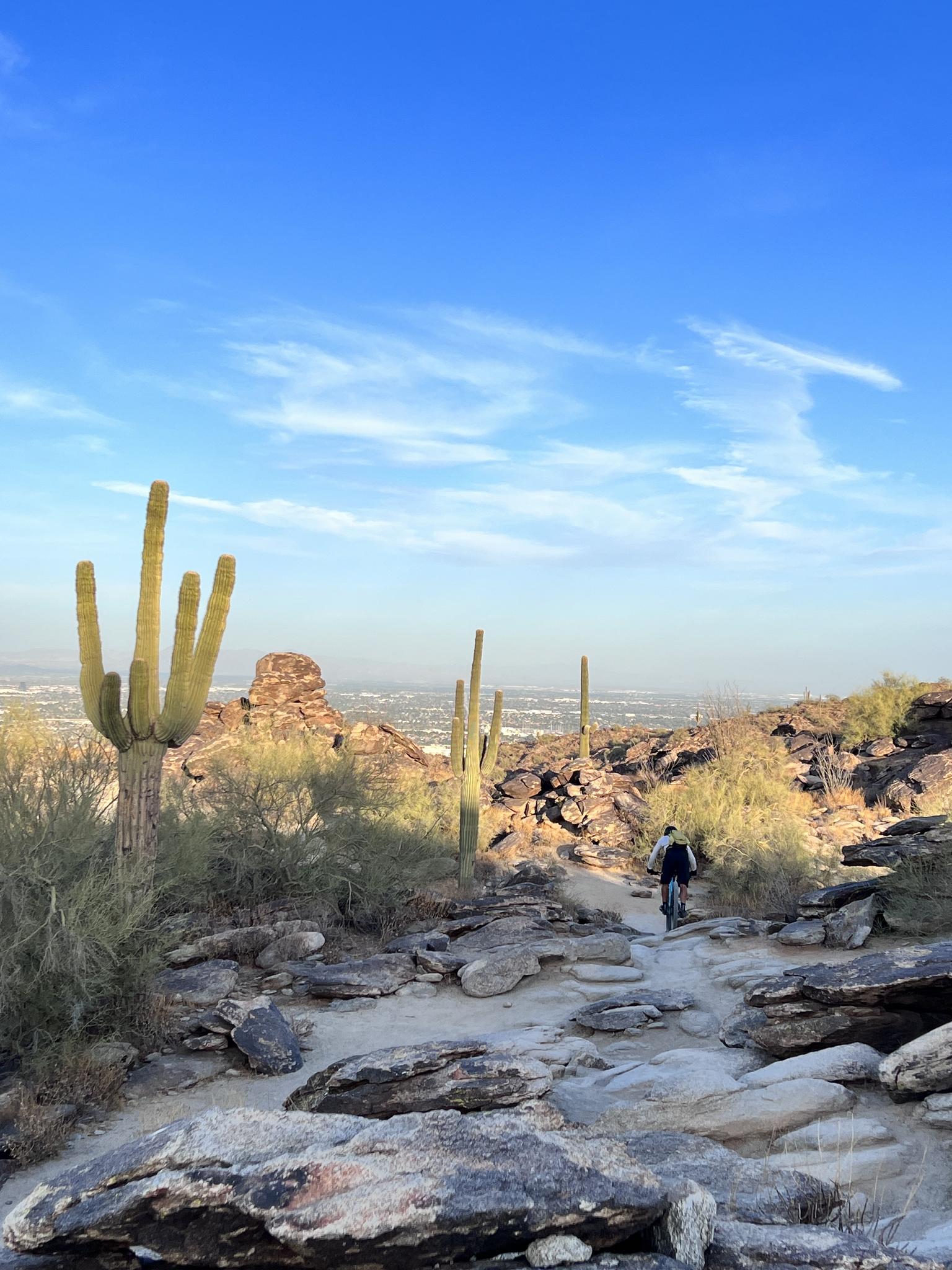 Cyclist on a rocky desert trail with saguaro cacti under blue sky.
