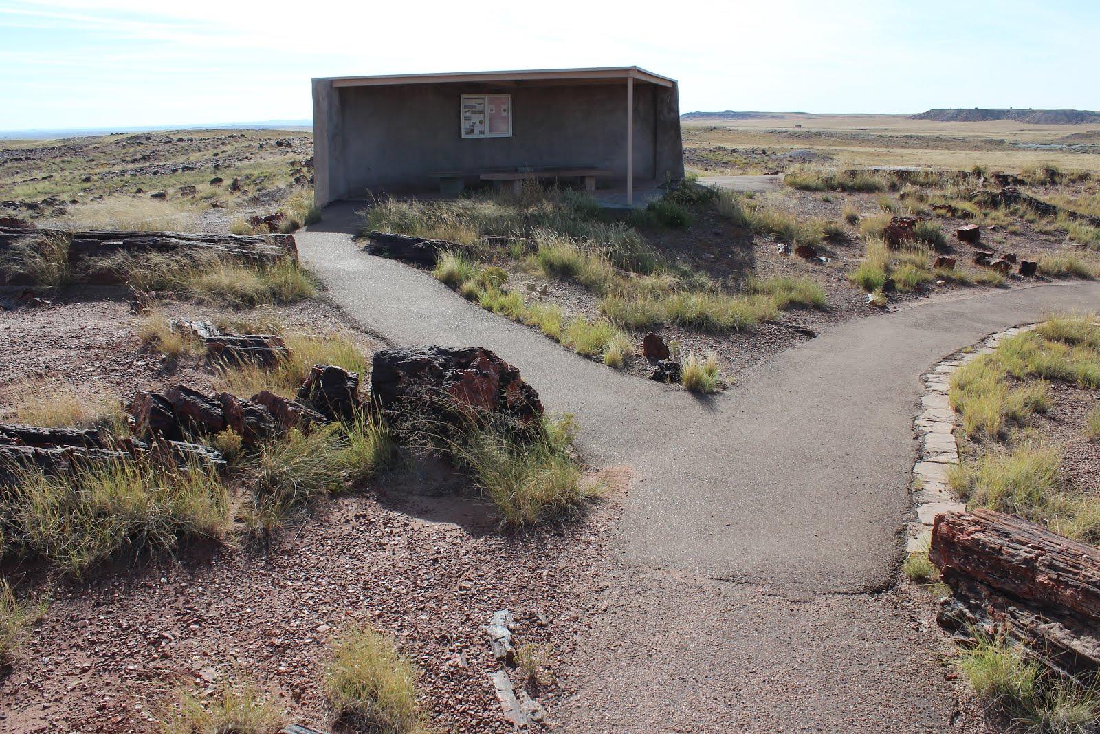 Small shelter with diverging paved paths in a dry, open landscape.