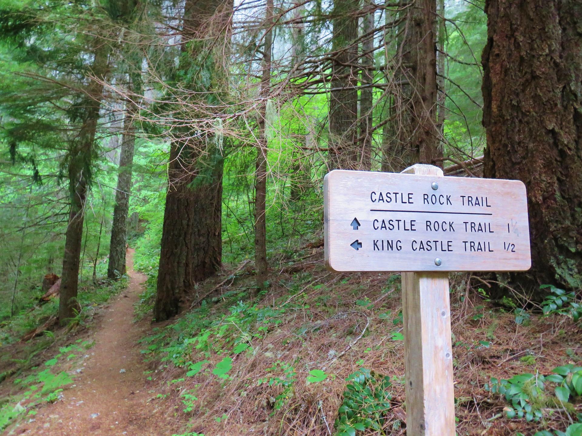 Wooden signpost on a dirt path in a lush, green, shaded forest.