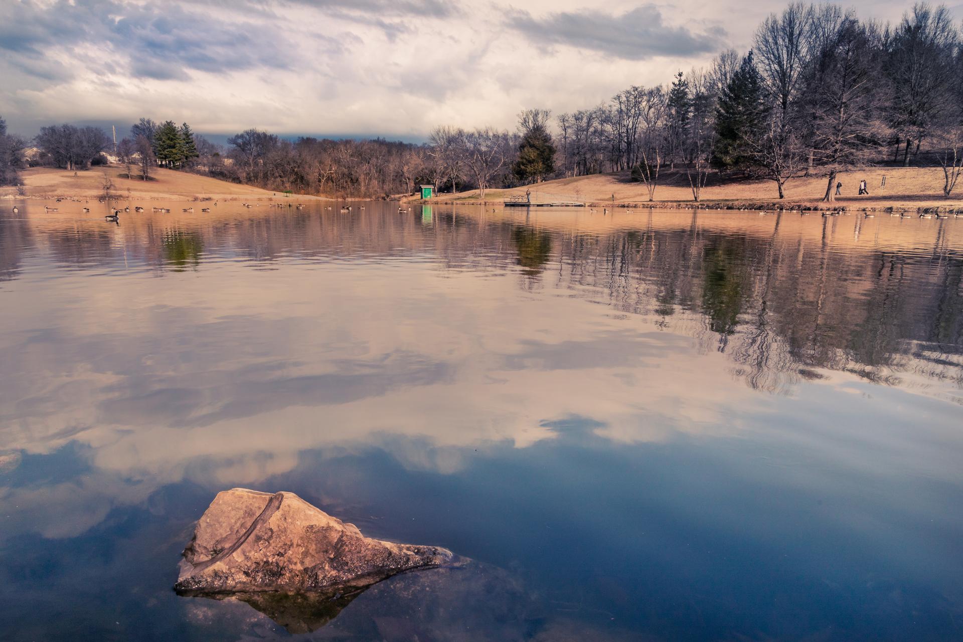 A lake with a rock, bare trees, and cloudy sky reflecting on the water.