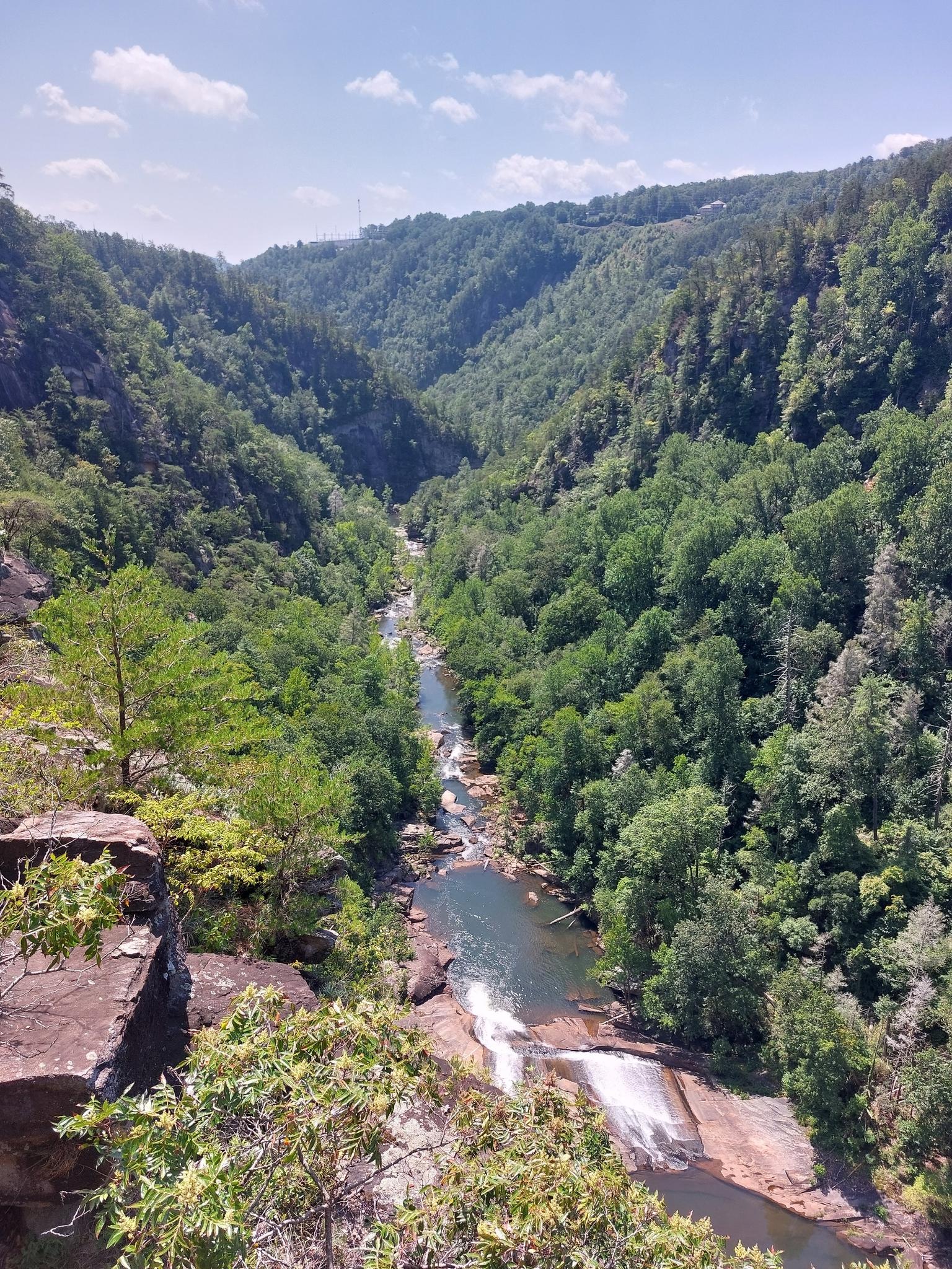 River winding through a deep, forested canyon under a bright blue sky.