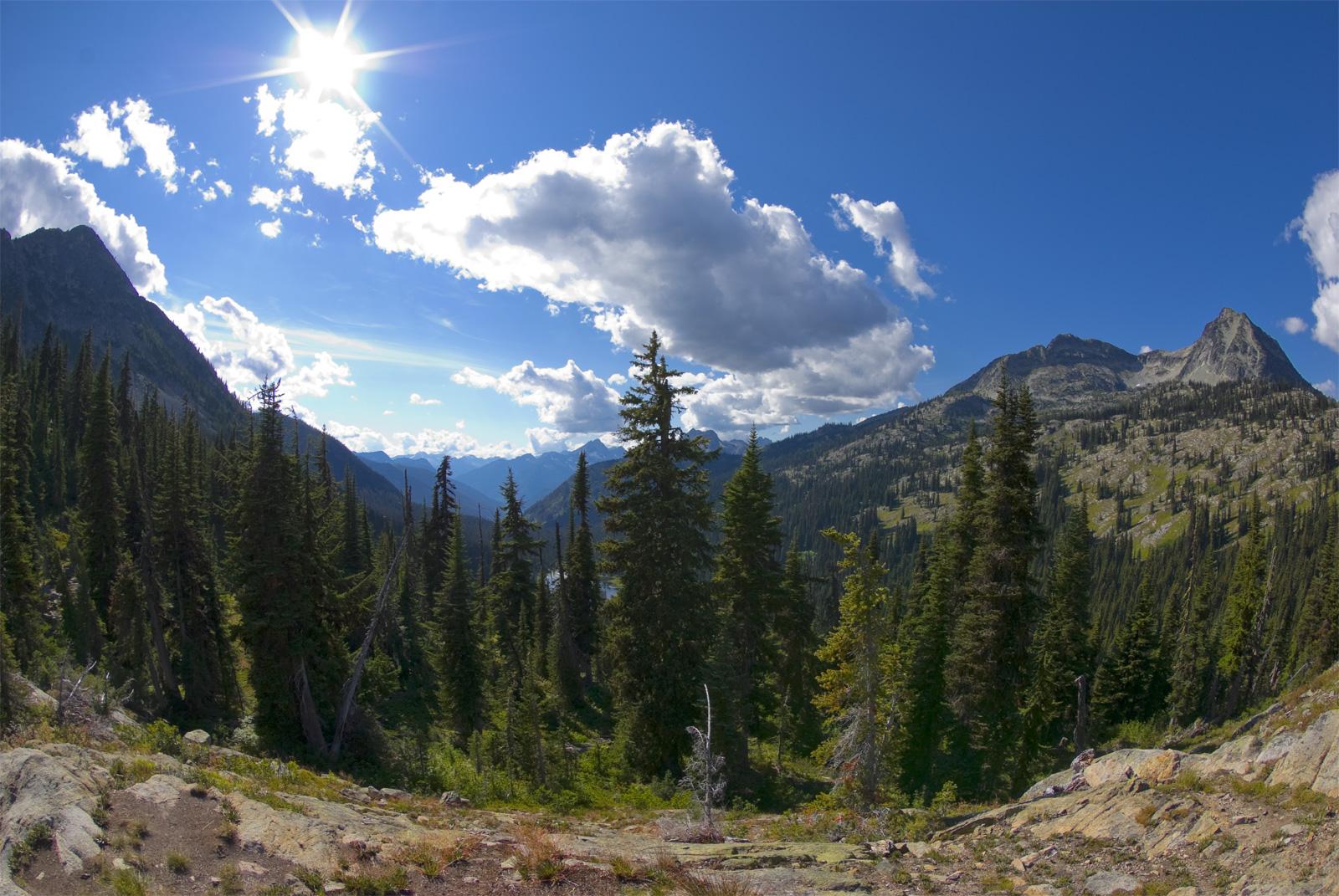 Panoramic view of a sunny mountain landscape with pine trees and rocky peaks.