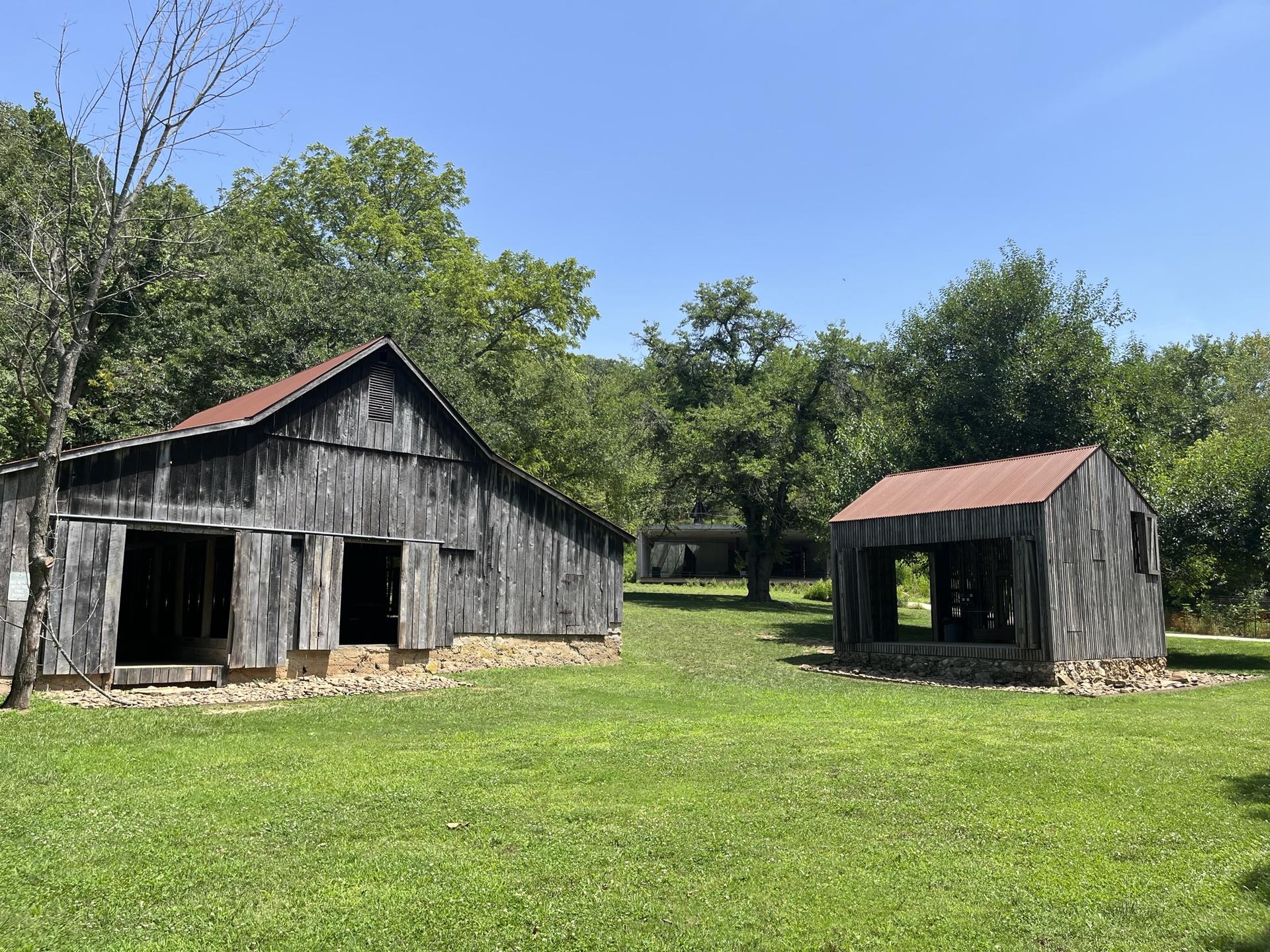 Two old wooden barns with red roofs stand in a green field on a clear day.